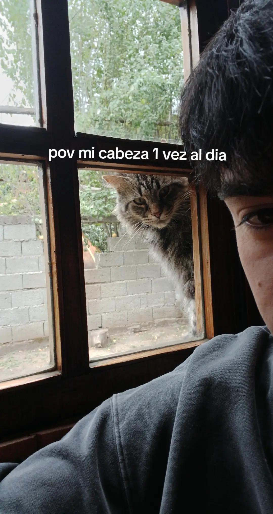 @ivanchotorres