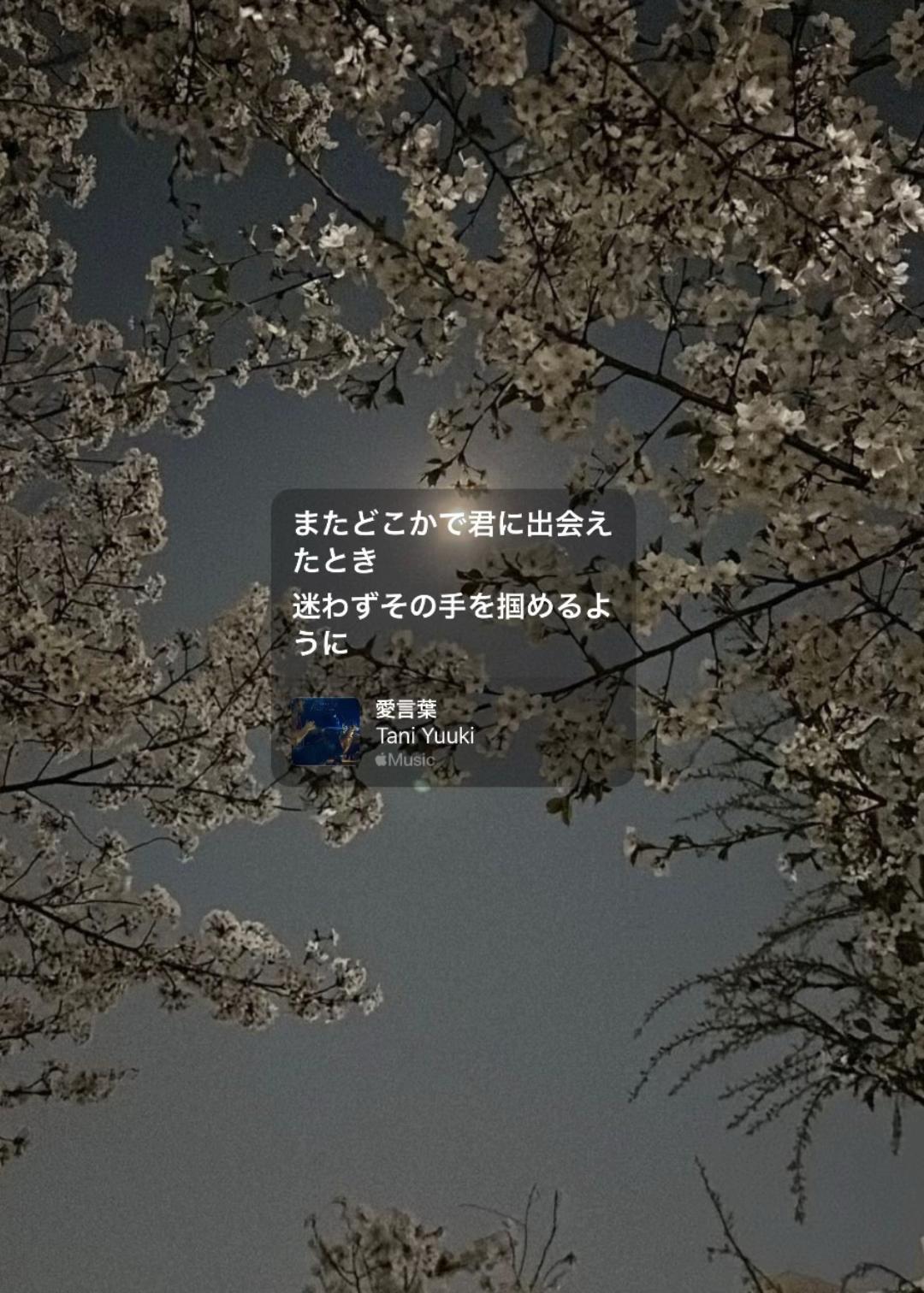 @ひ。