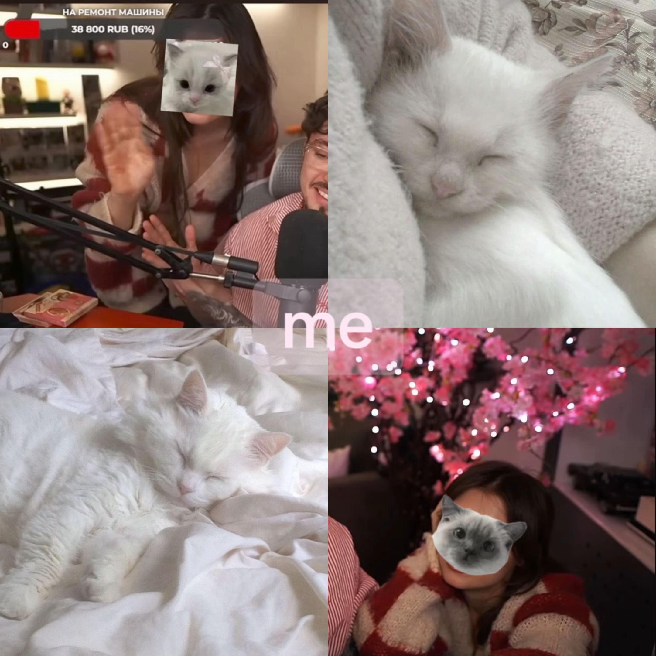 @висФЕЙЛ❌