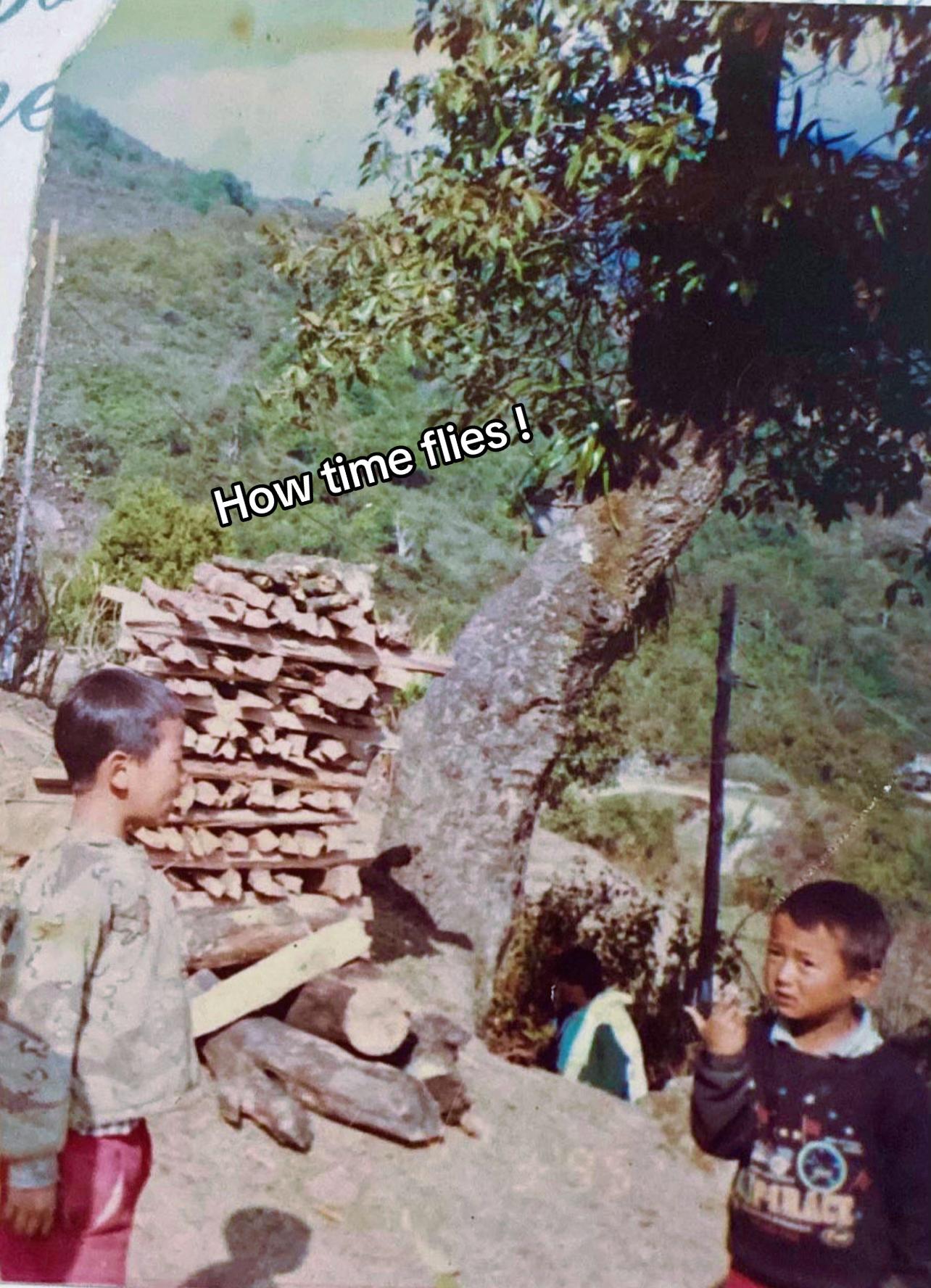 @tandinsonam308