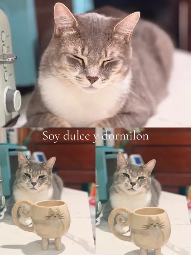 @Gen