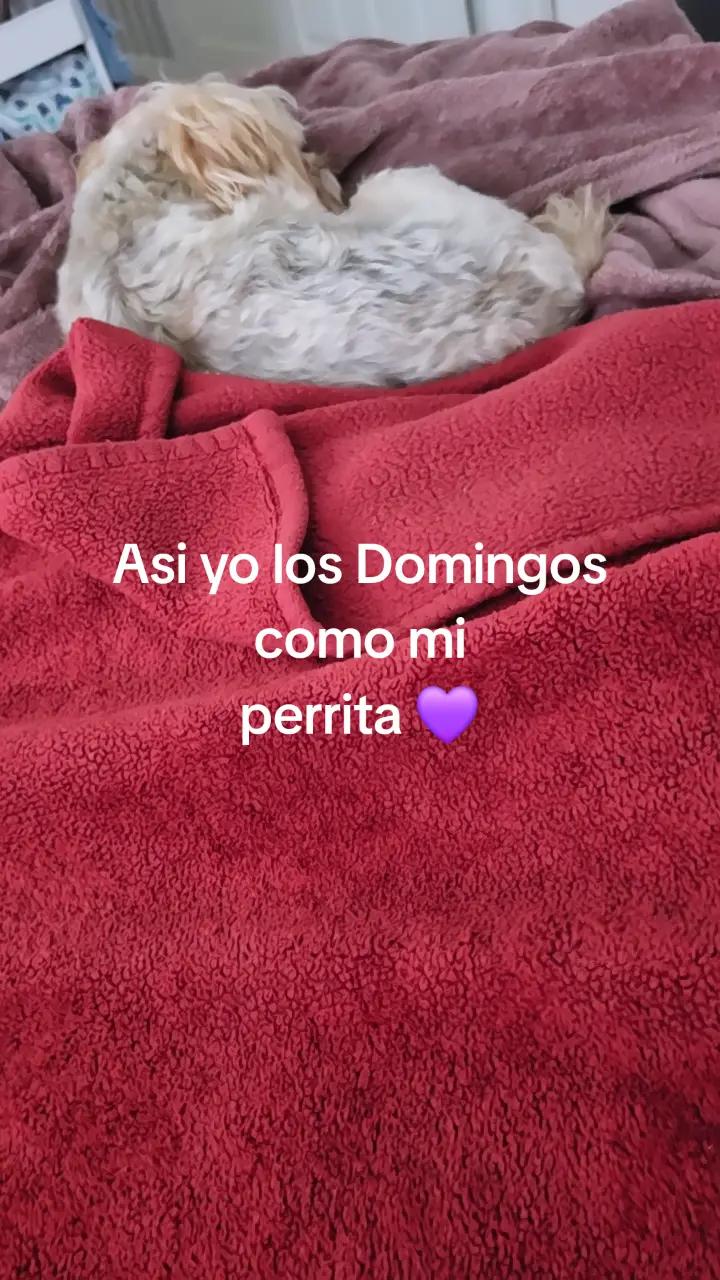 @CristalBalderas