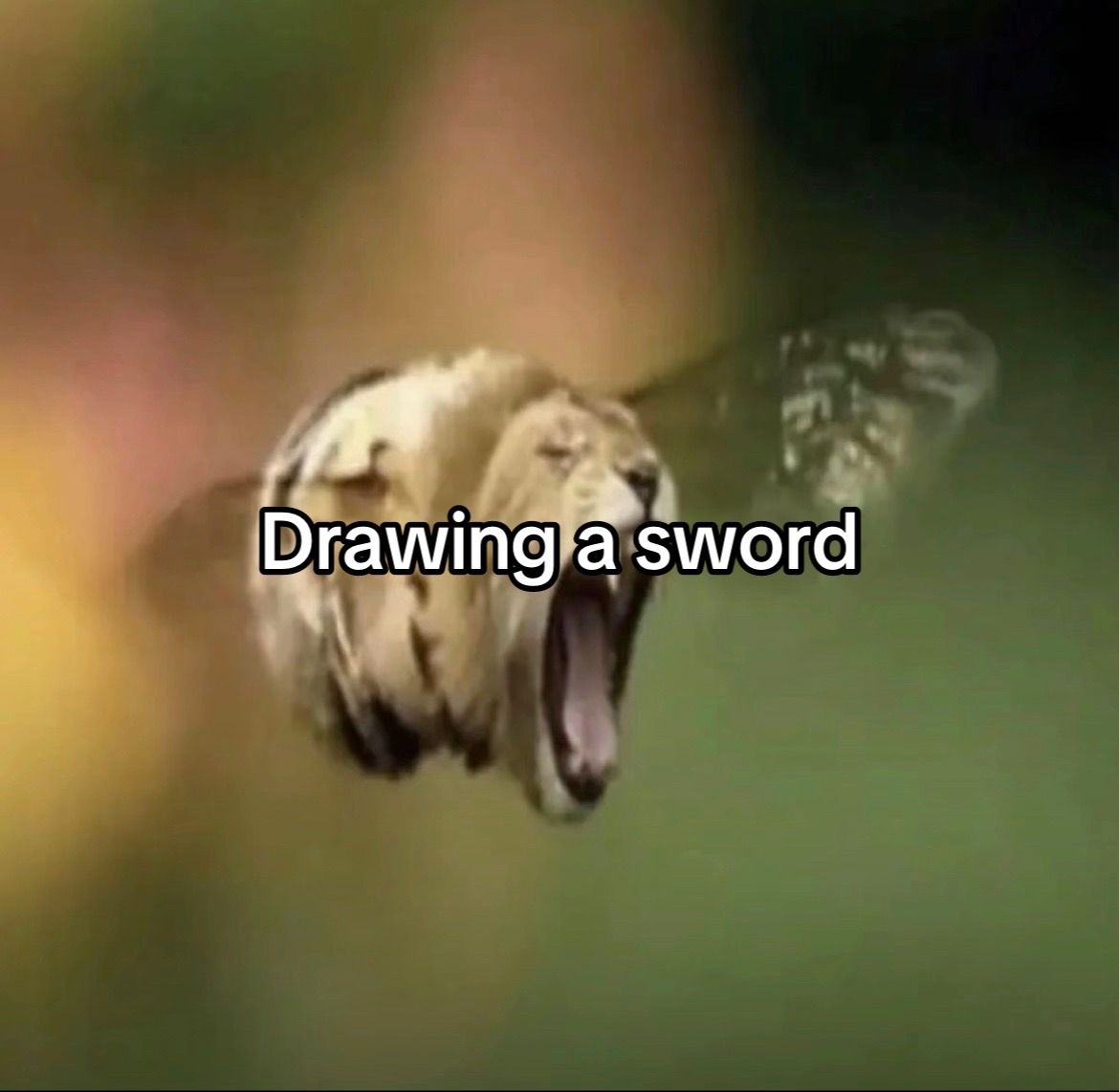 @SpenceTheWence