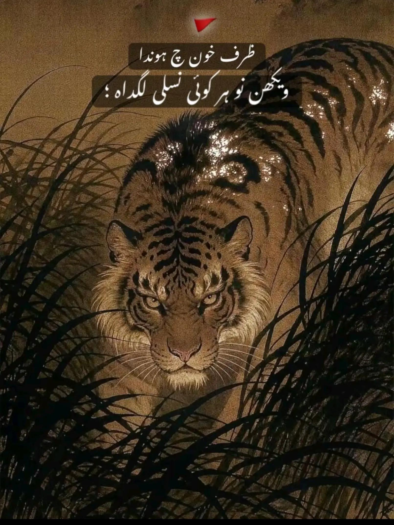 @👑☠️RaJpOoT❤️🔥گجرات آلا☠️👑