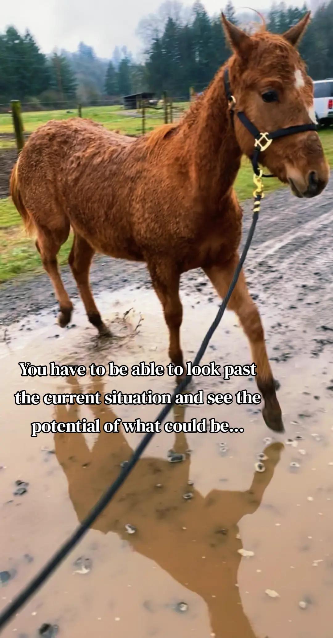 @꧁ꋬꋊꍌ꒐ꏂ ꍌꄲꊰꊰ꒐ꋊ꧂