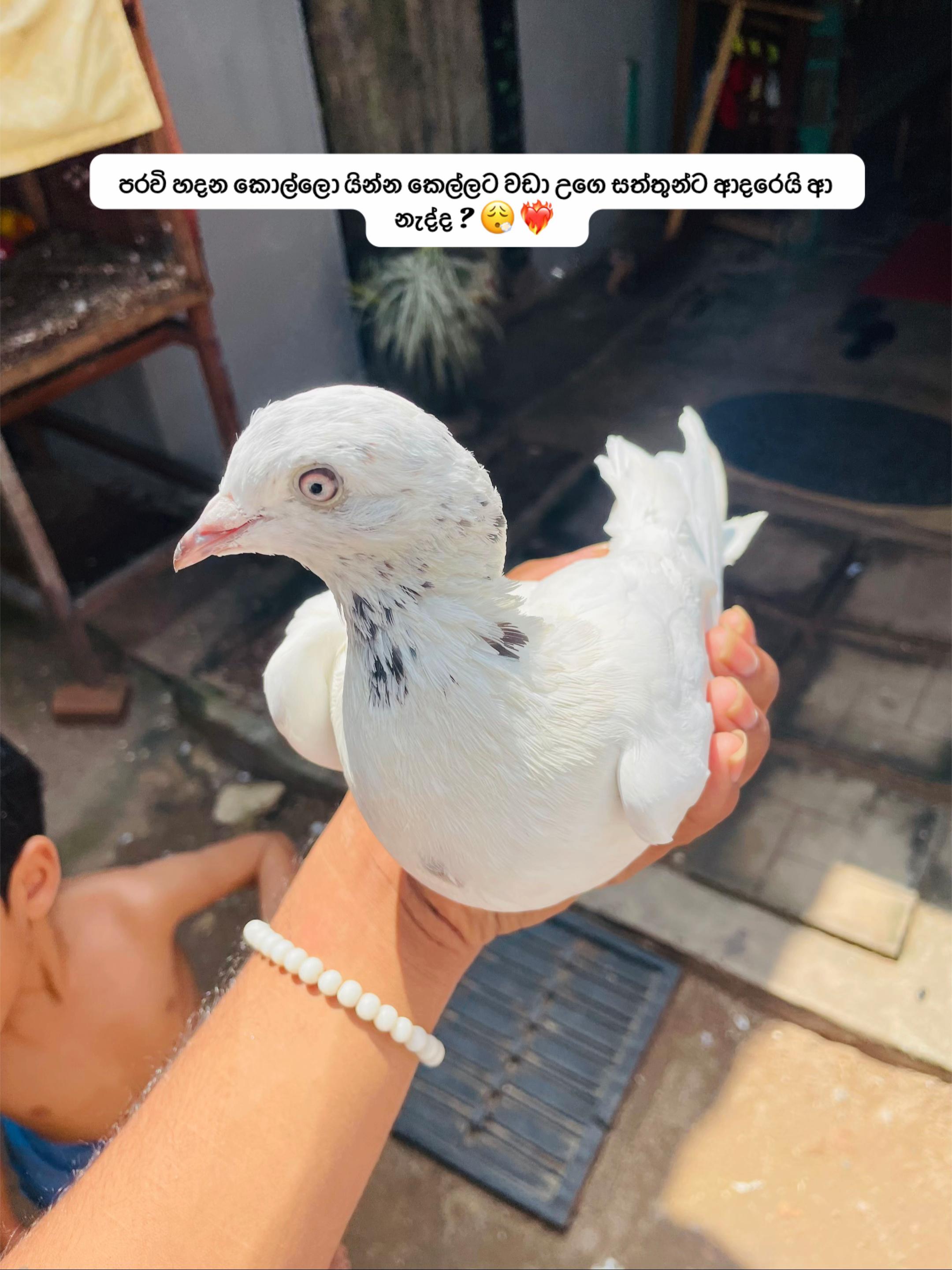 @[H a s h i 👣🦋]^[