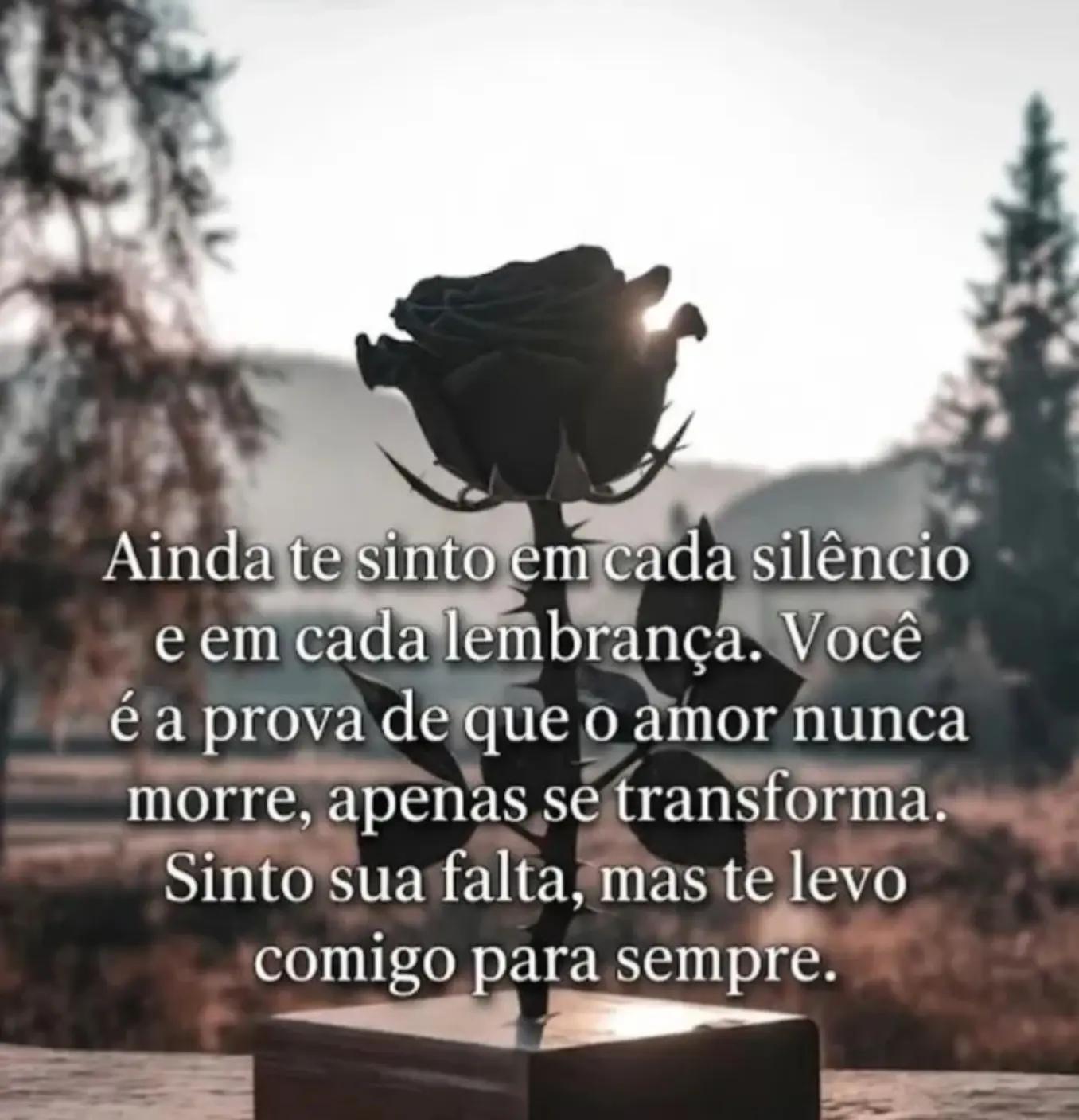 @Ivonete coll de Liz .#sdd✨ m&atilde;e