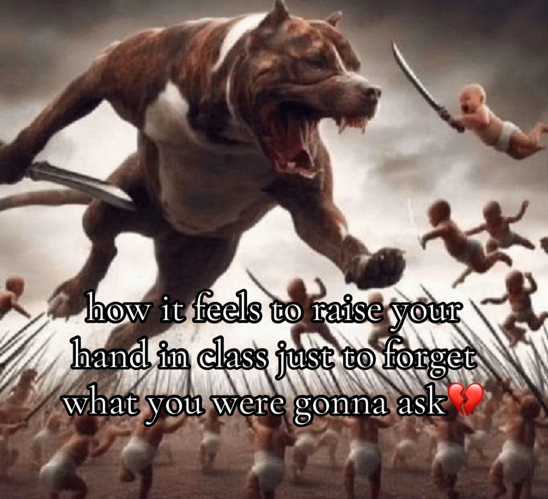@voxku