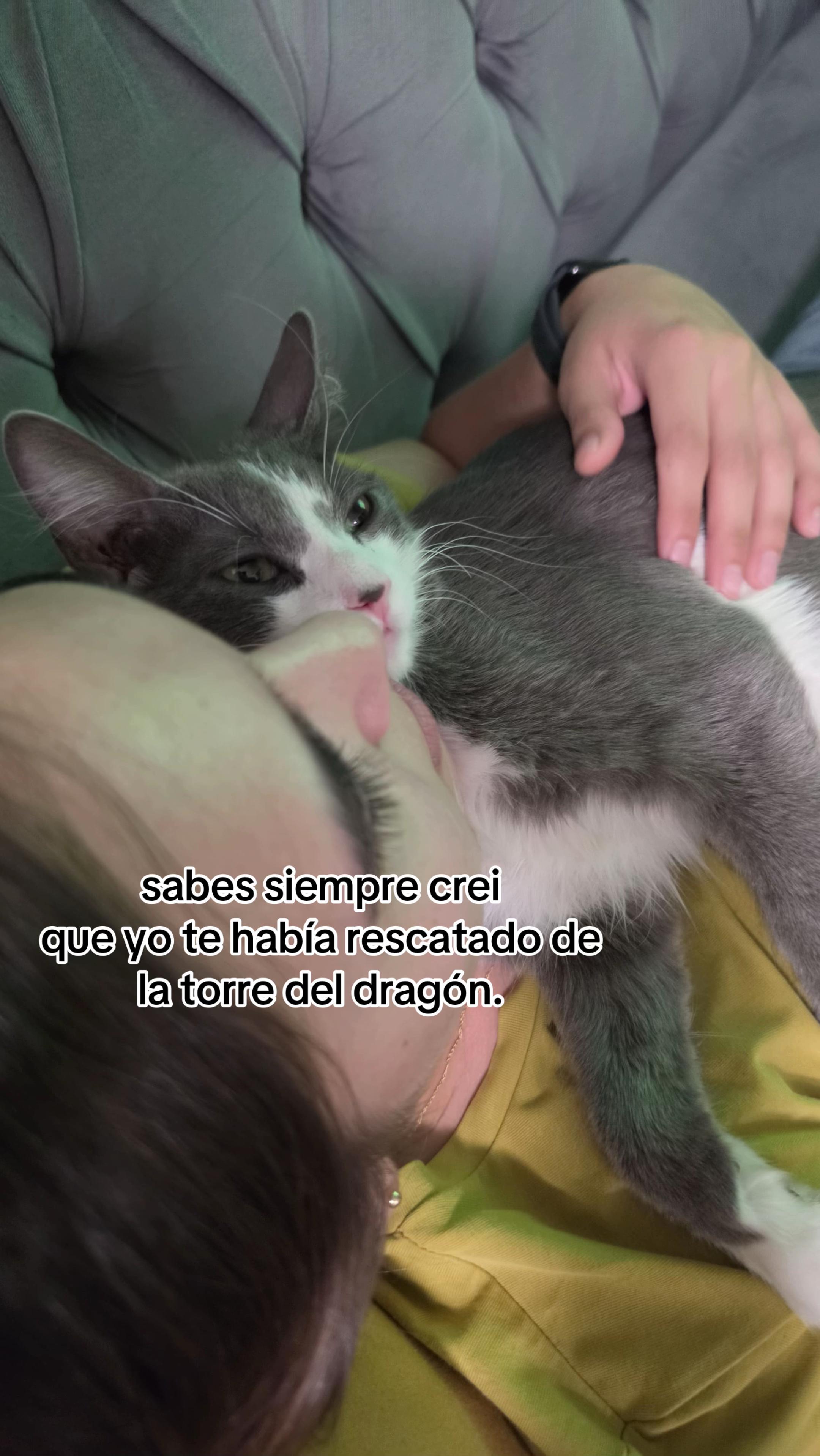 @lazy