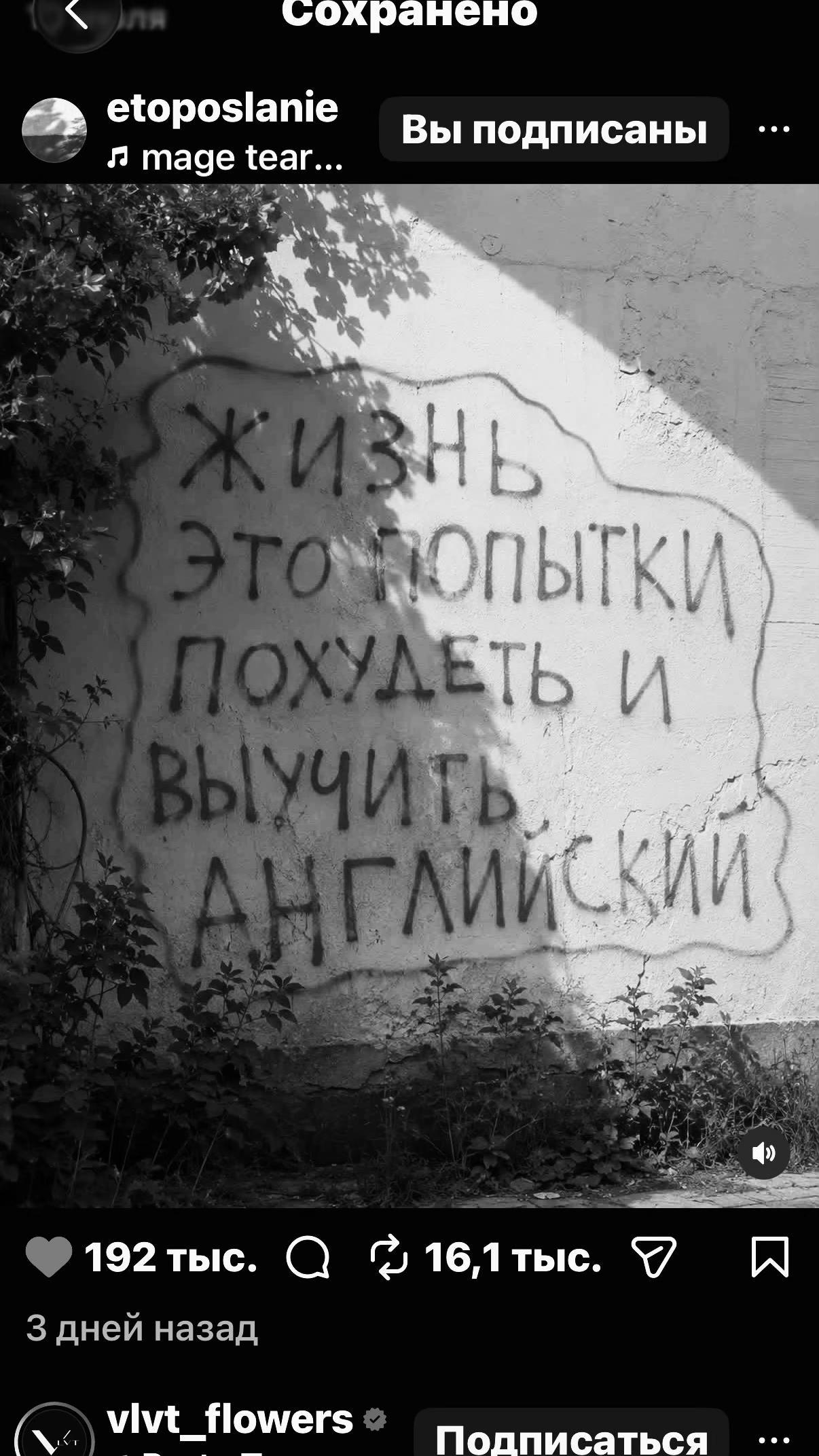 @Сева🍂