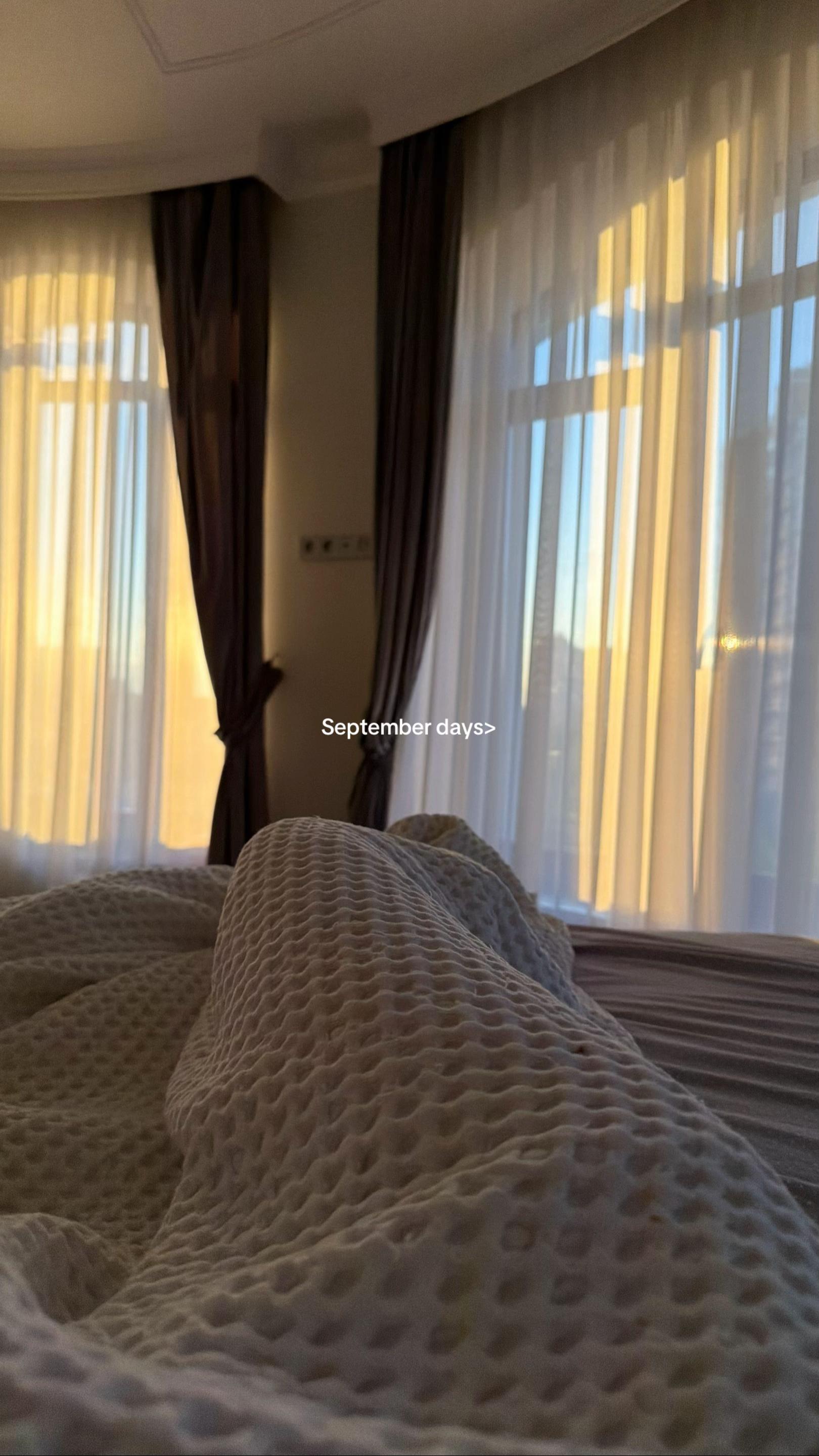 @vimollly
