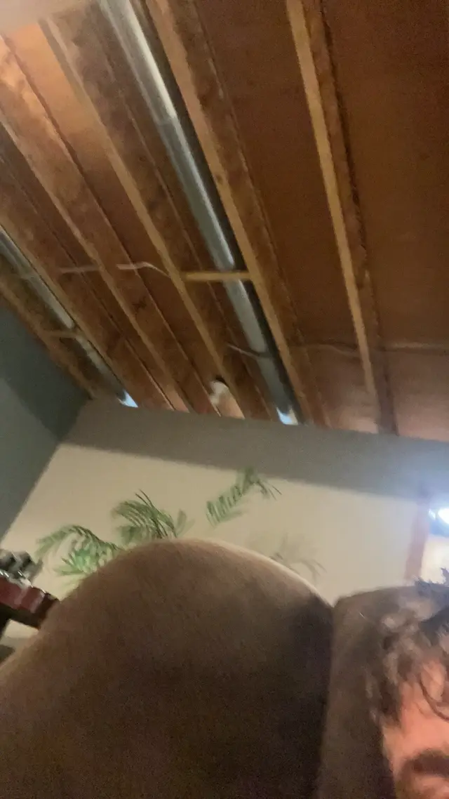 @brock7350