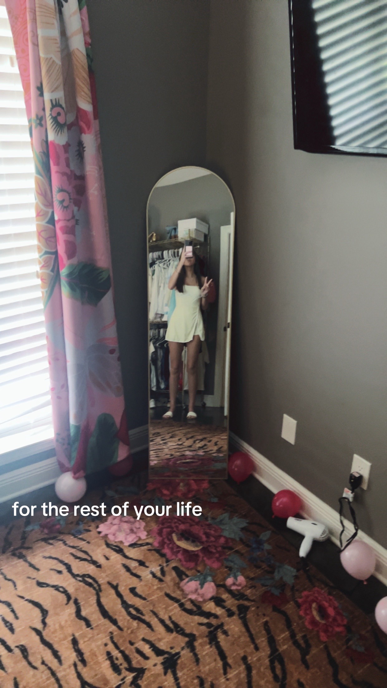 @￶　 　  ️