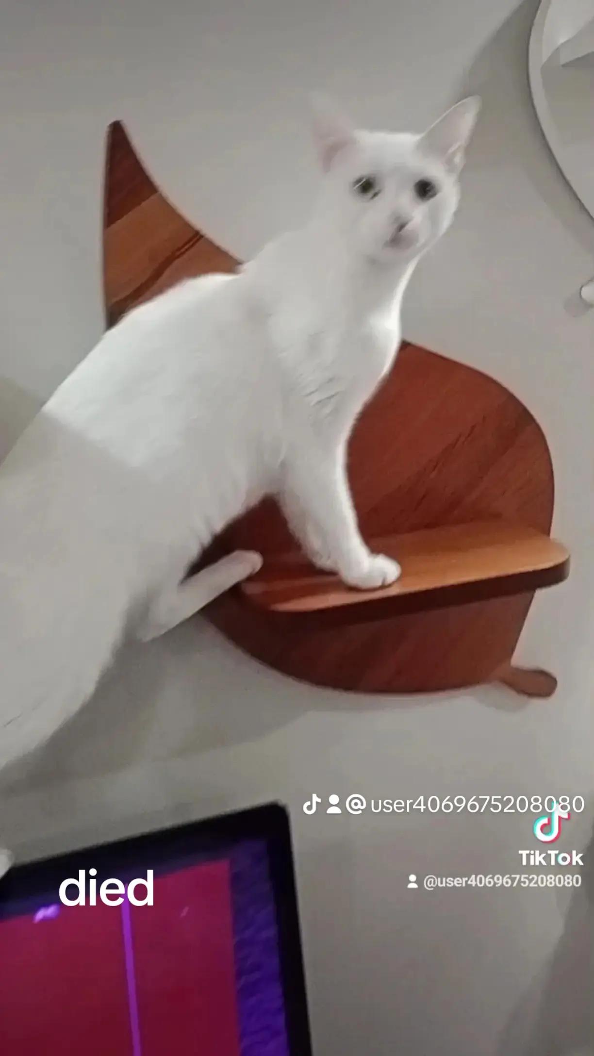 @Ali gül