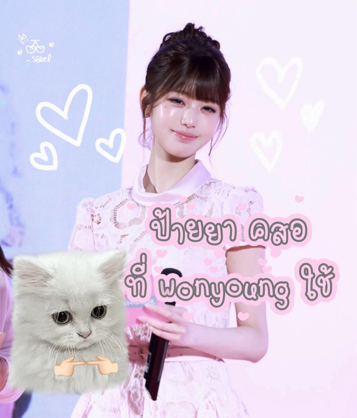 @น้อยหน่าที่ชอบเกาหลี
