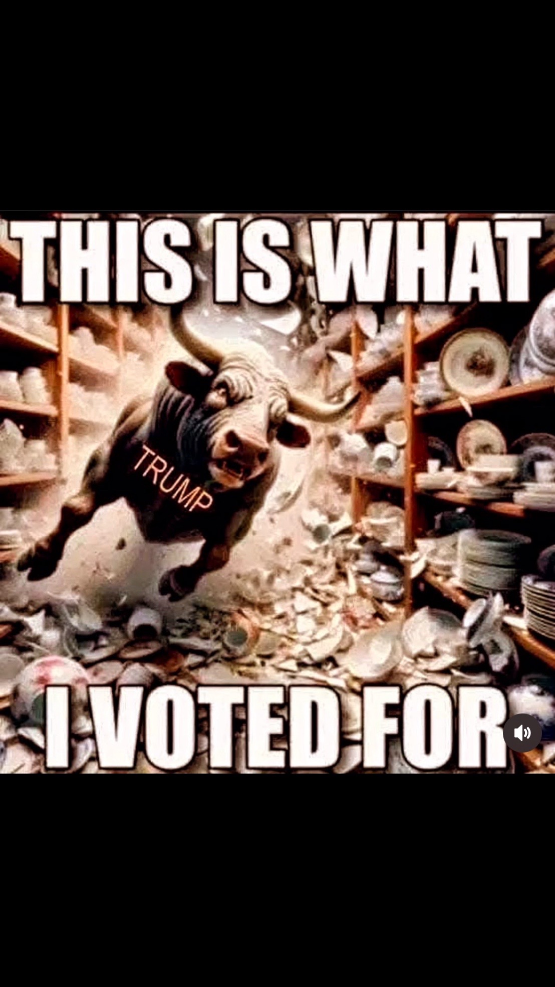 @Flapatriot3737X3