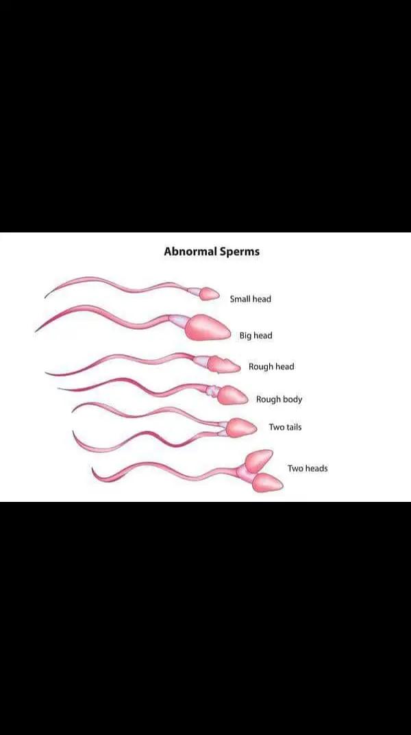 @TTCMOM FERTILITY |WOMB MASSAG