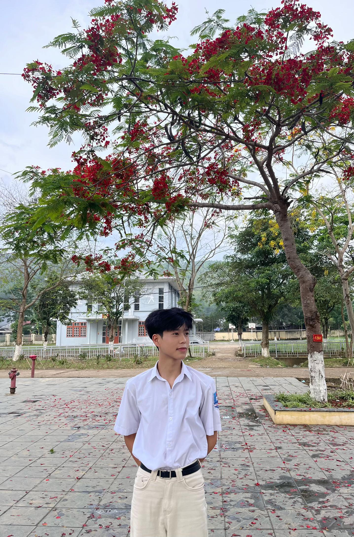 @accphutanh