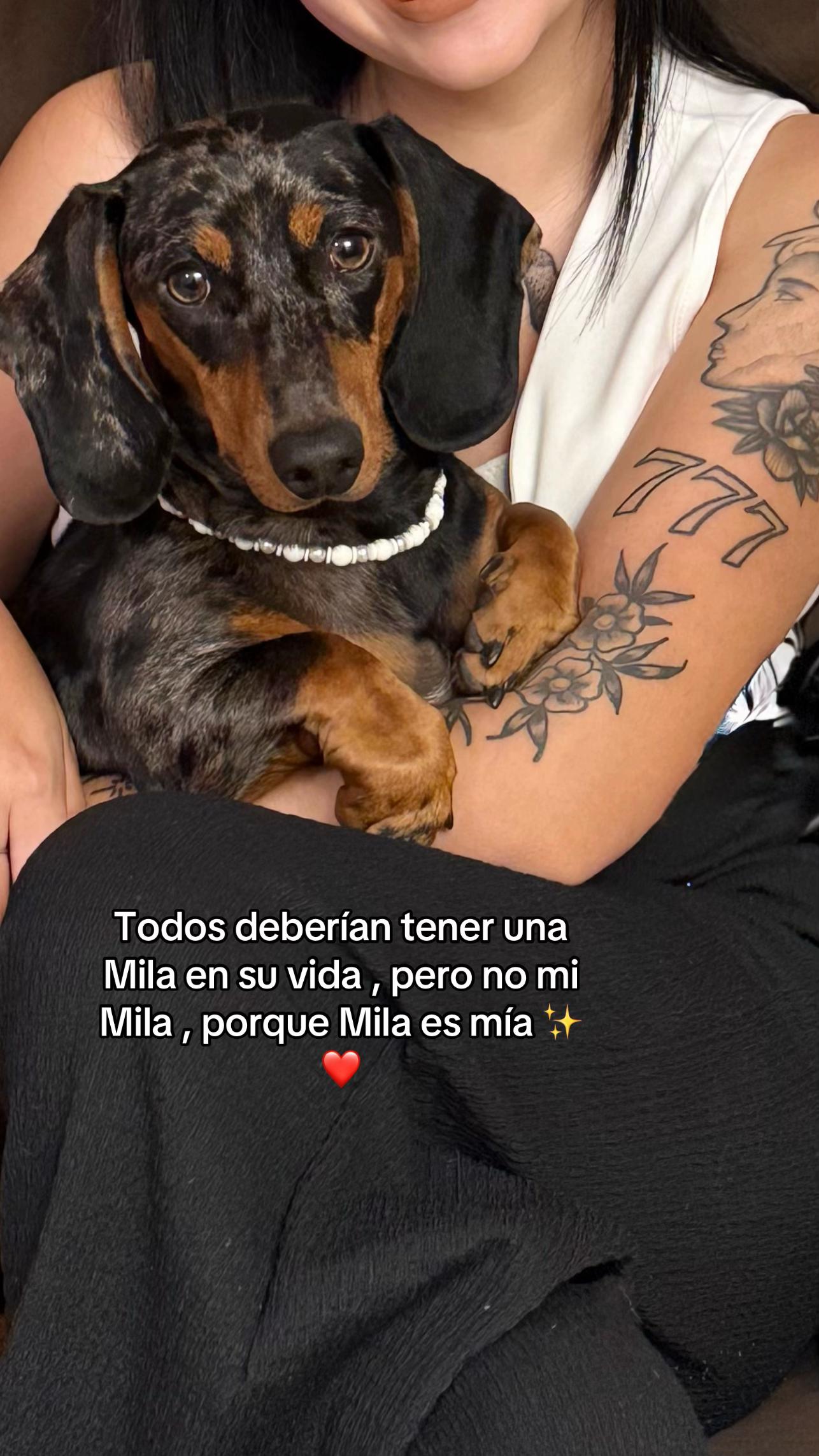 @𝑴𝒊𝒍𝒂 𝑴𝒊𝒍𝒂𝒏𝒆𝒔𝒂 🐾