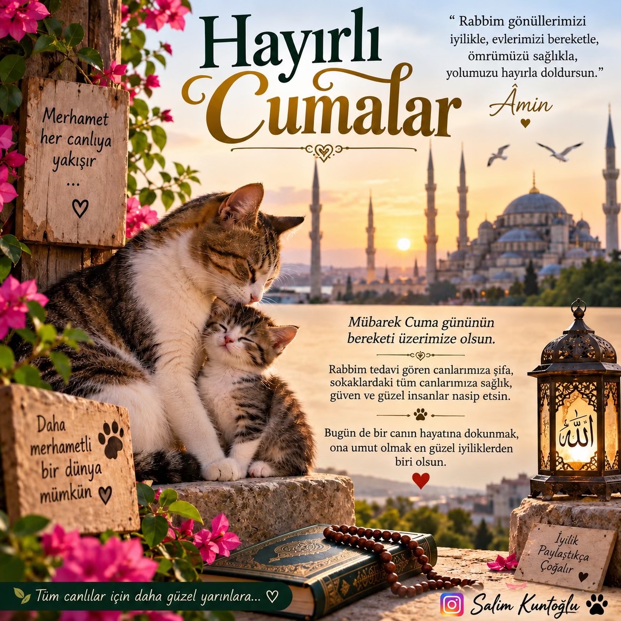 @Salim Kuntoğlu