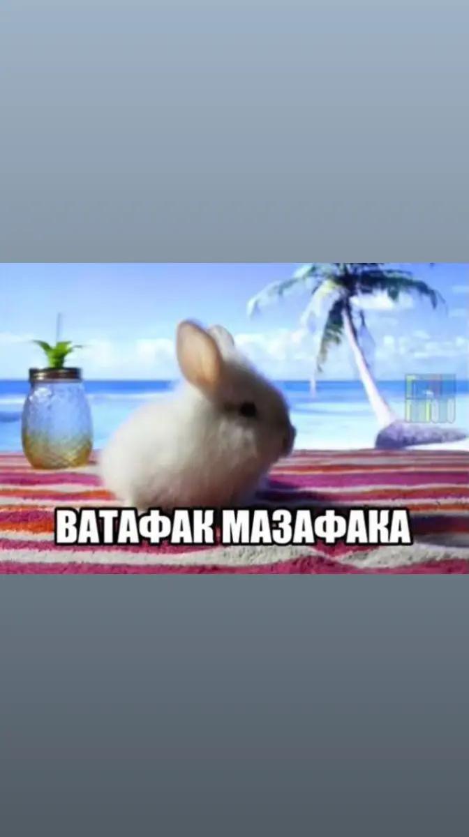 @shpilivinsky5