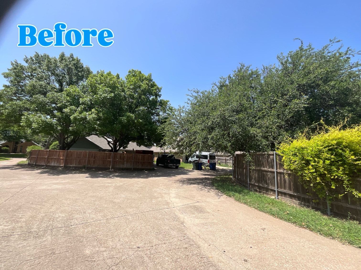 @Live Oak Tree Service