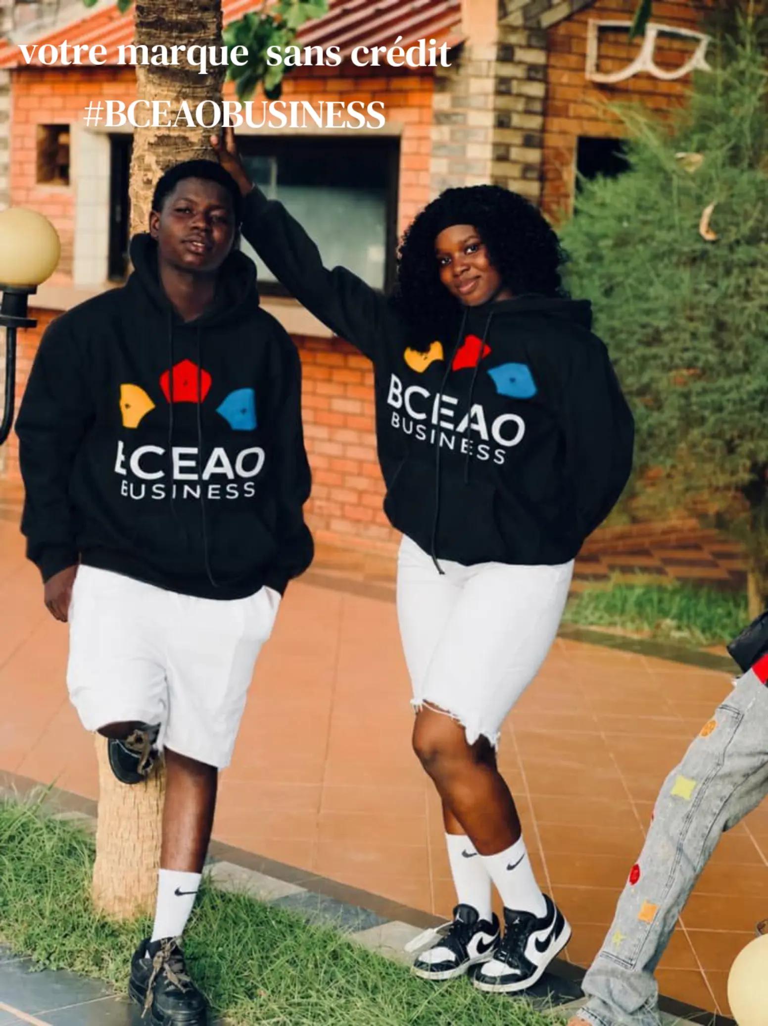 @BCEAO🇧🇫SMITH🇳🇪