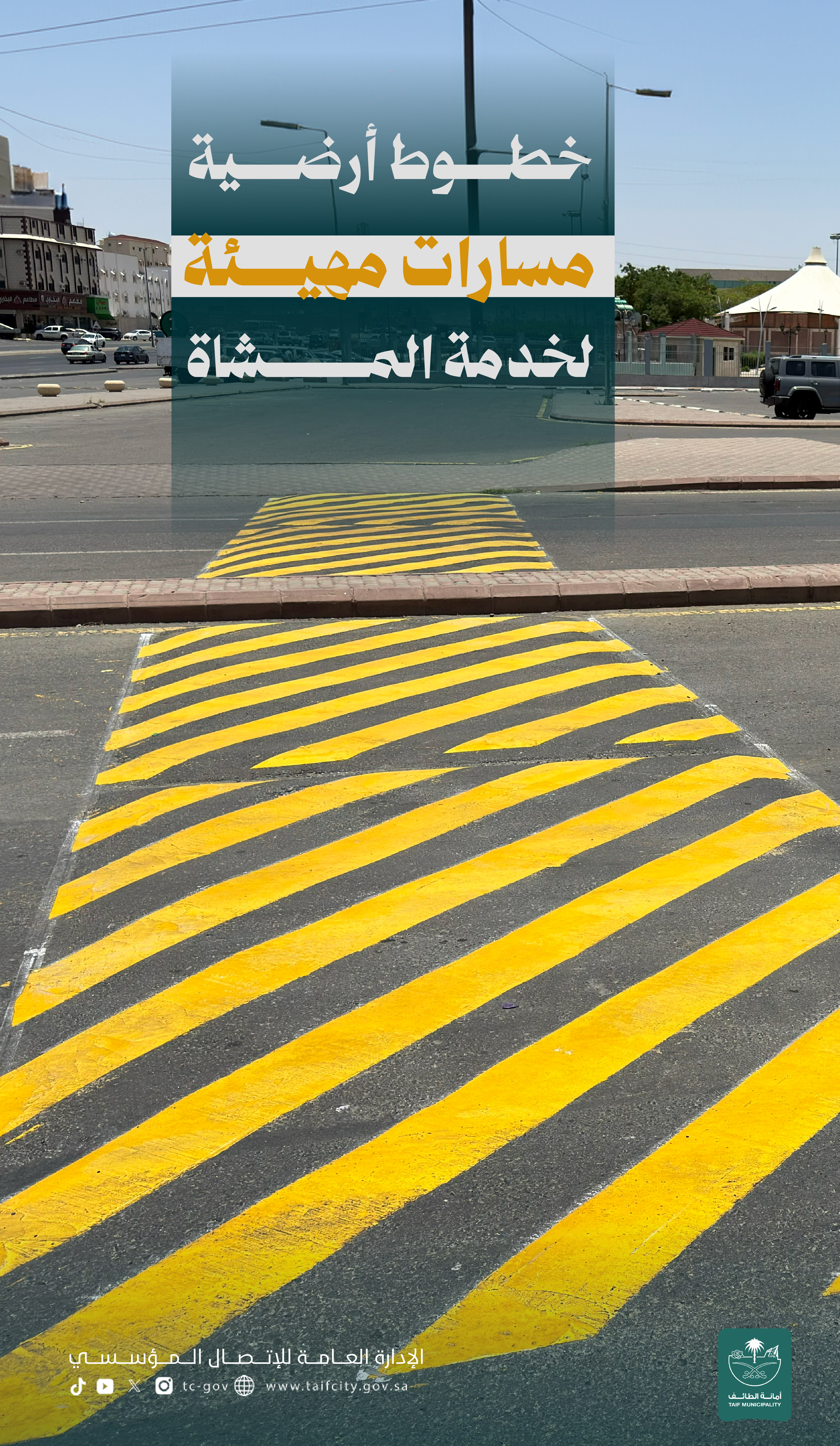 @أمانة الطائف