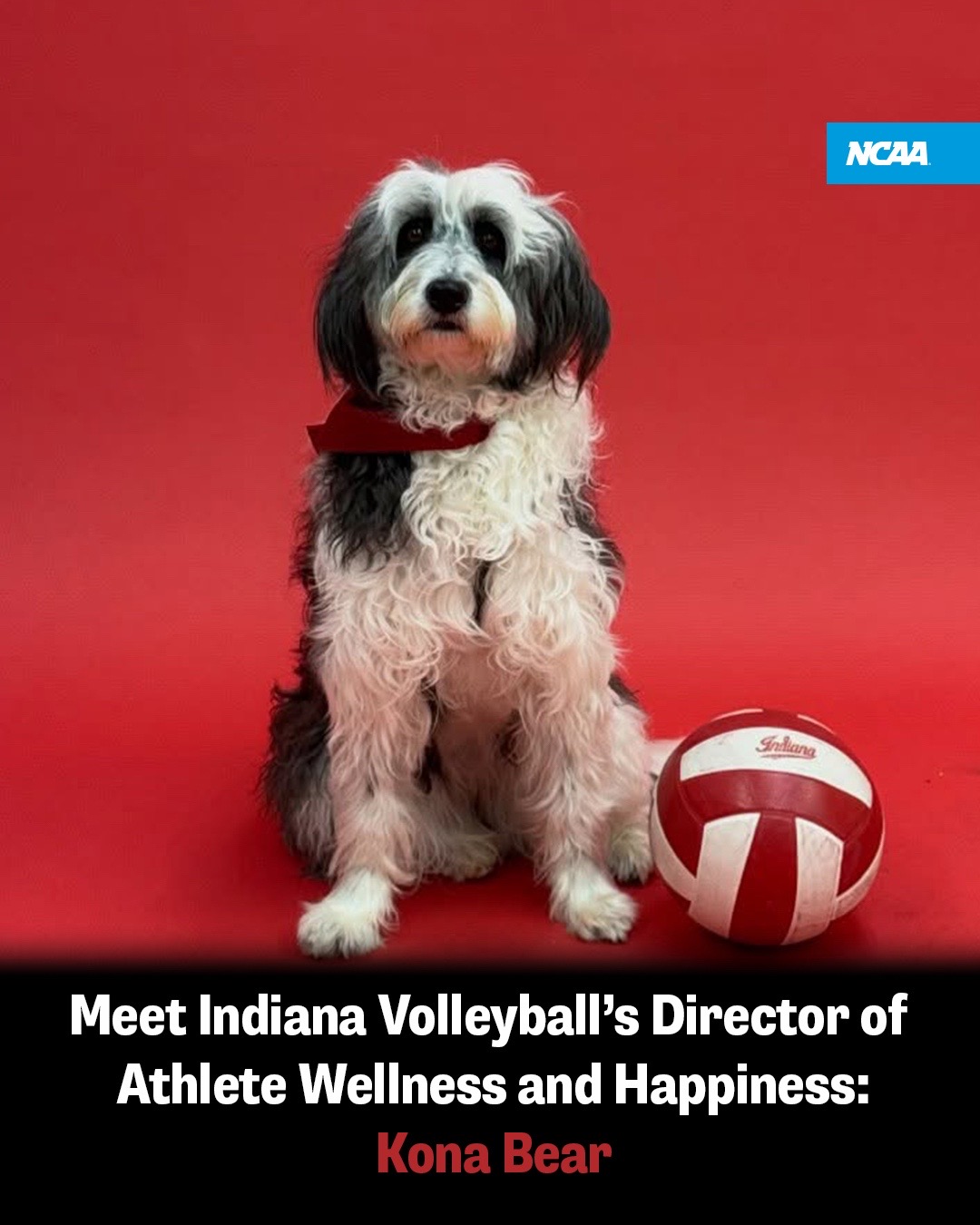 @NCAA
