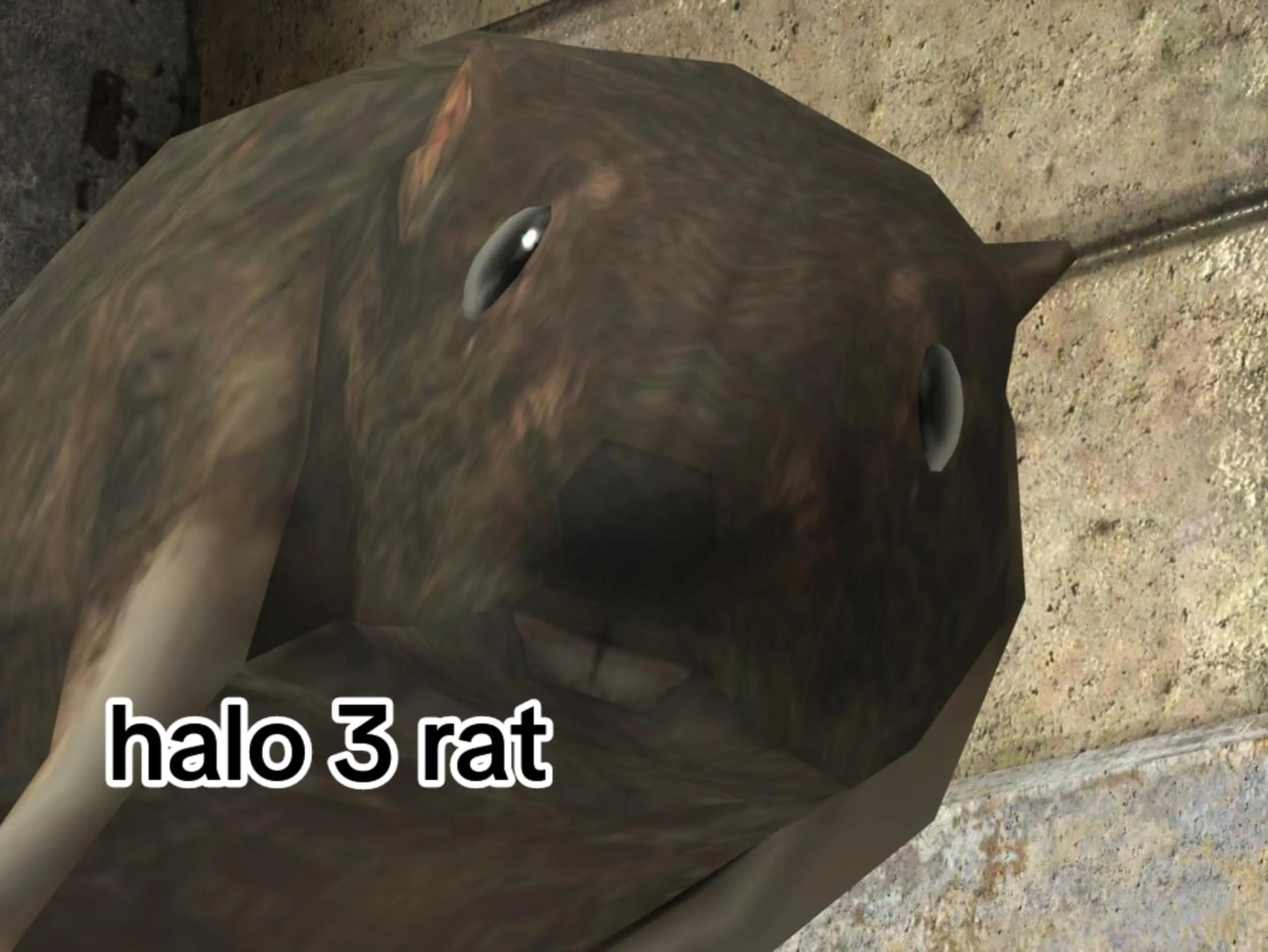 @Behemoth Stage 3
