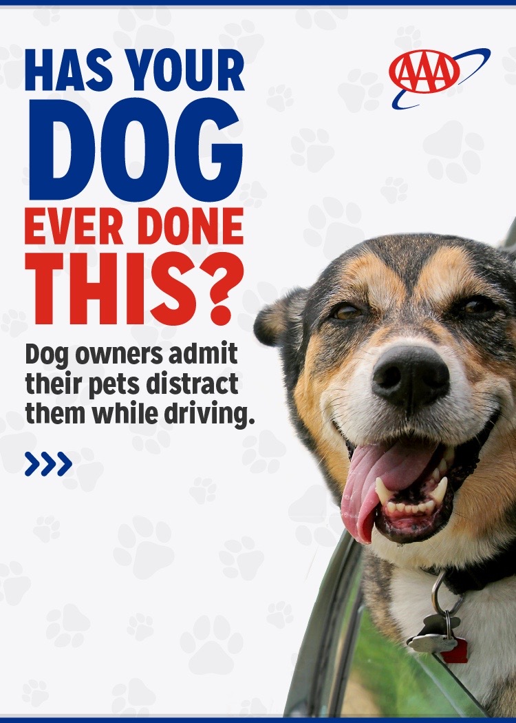 @AAA - The Auto Club Group