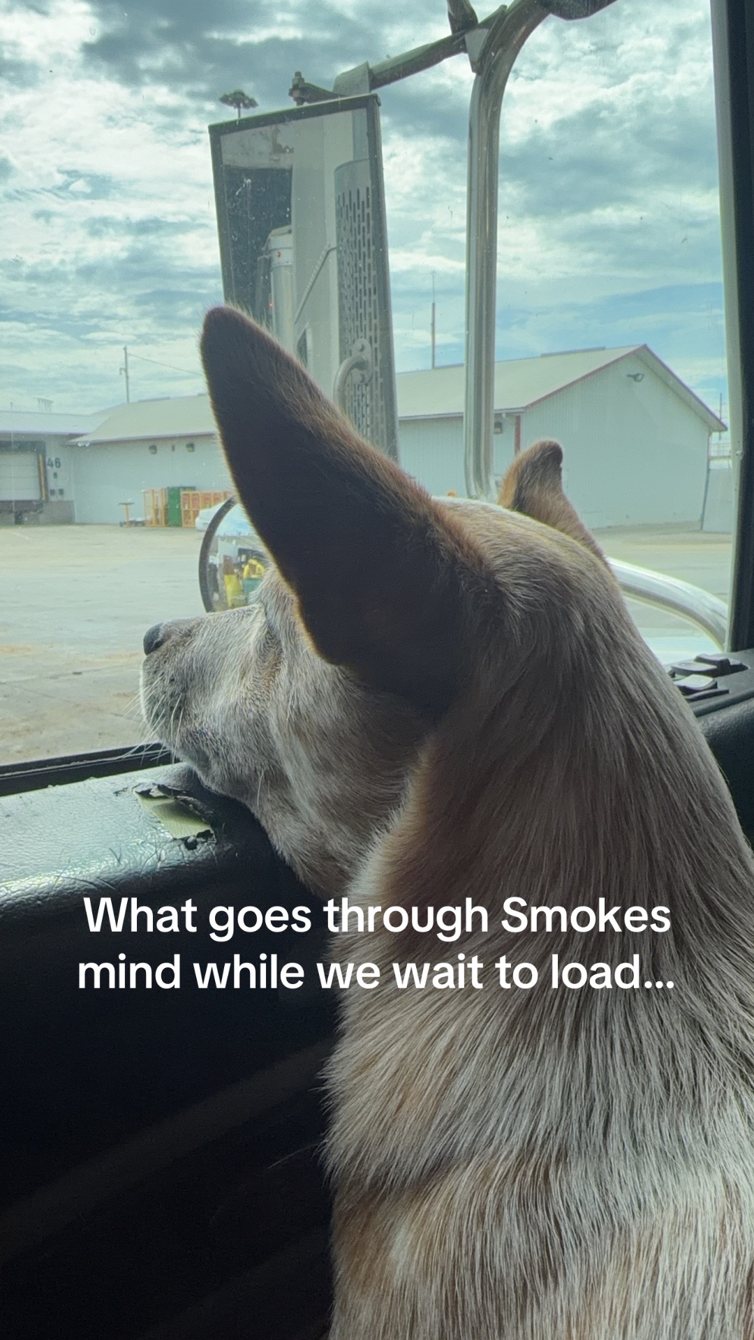 @chickwithadub9