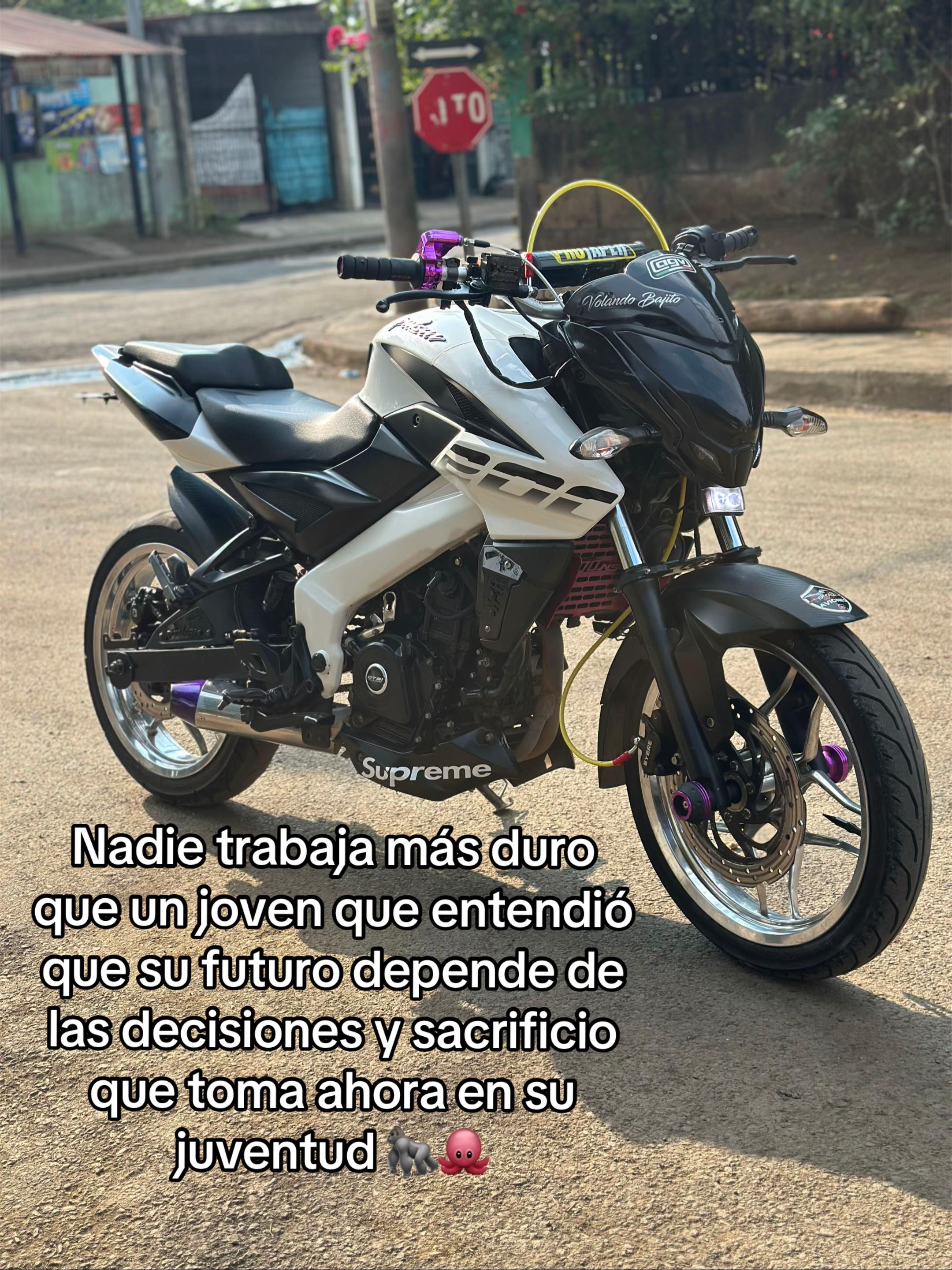 @L U I S ⋆