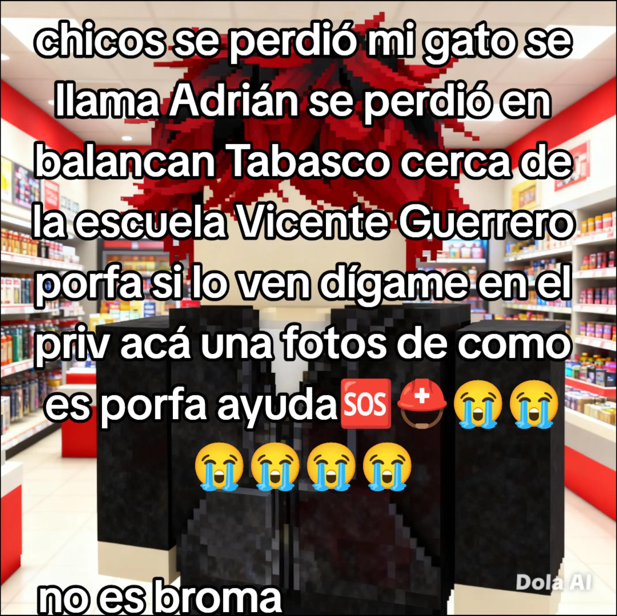 @cristhogc
