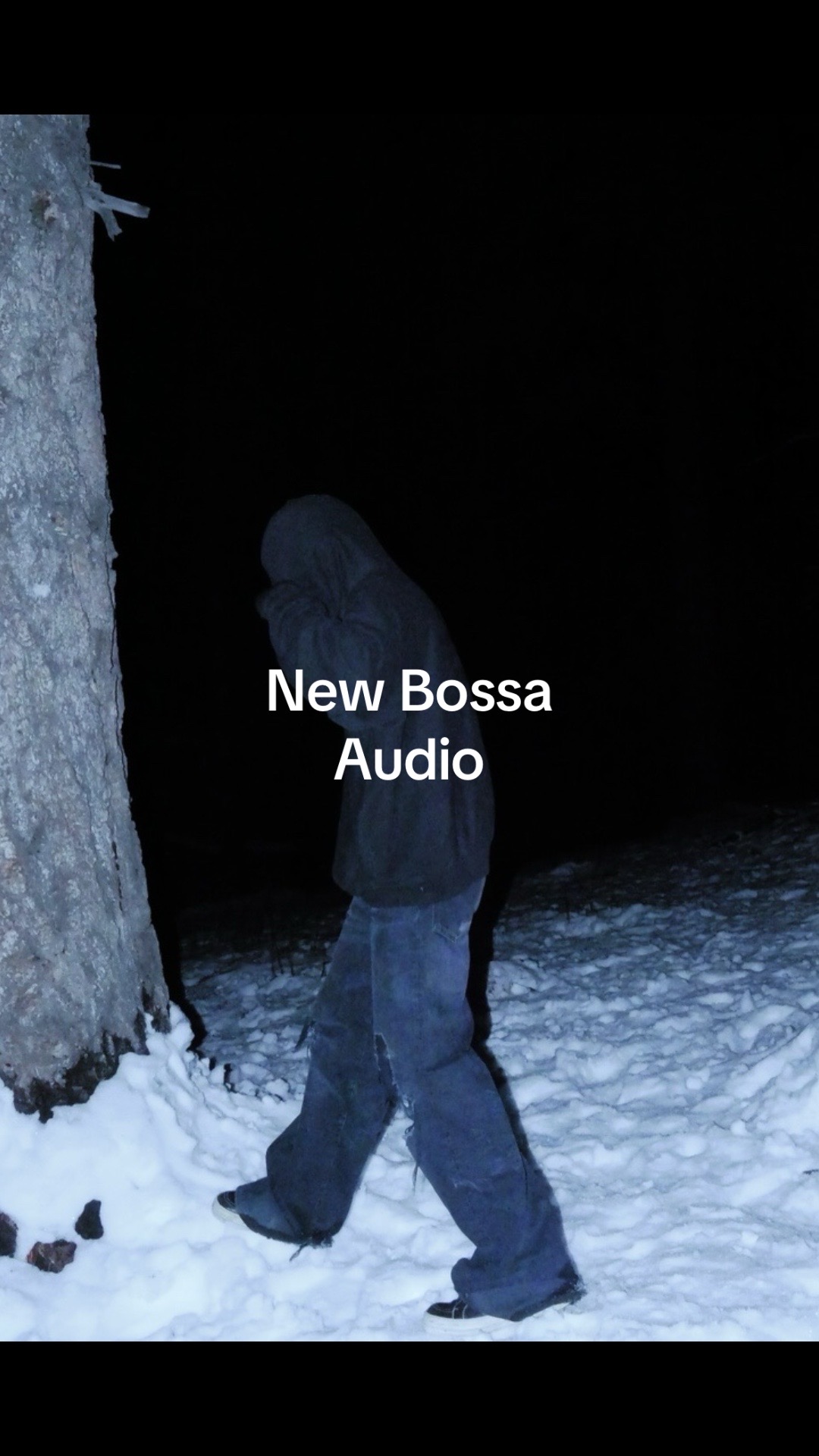 @bossavault
