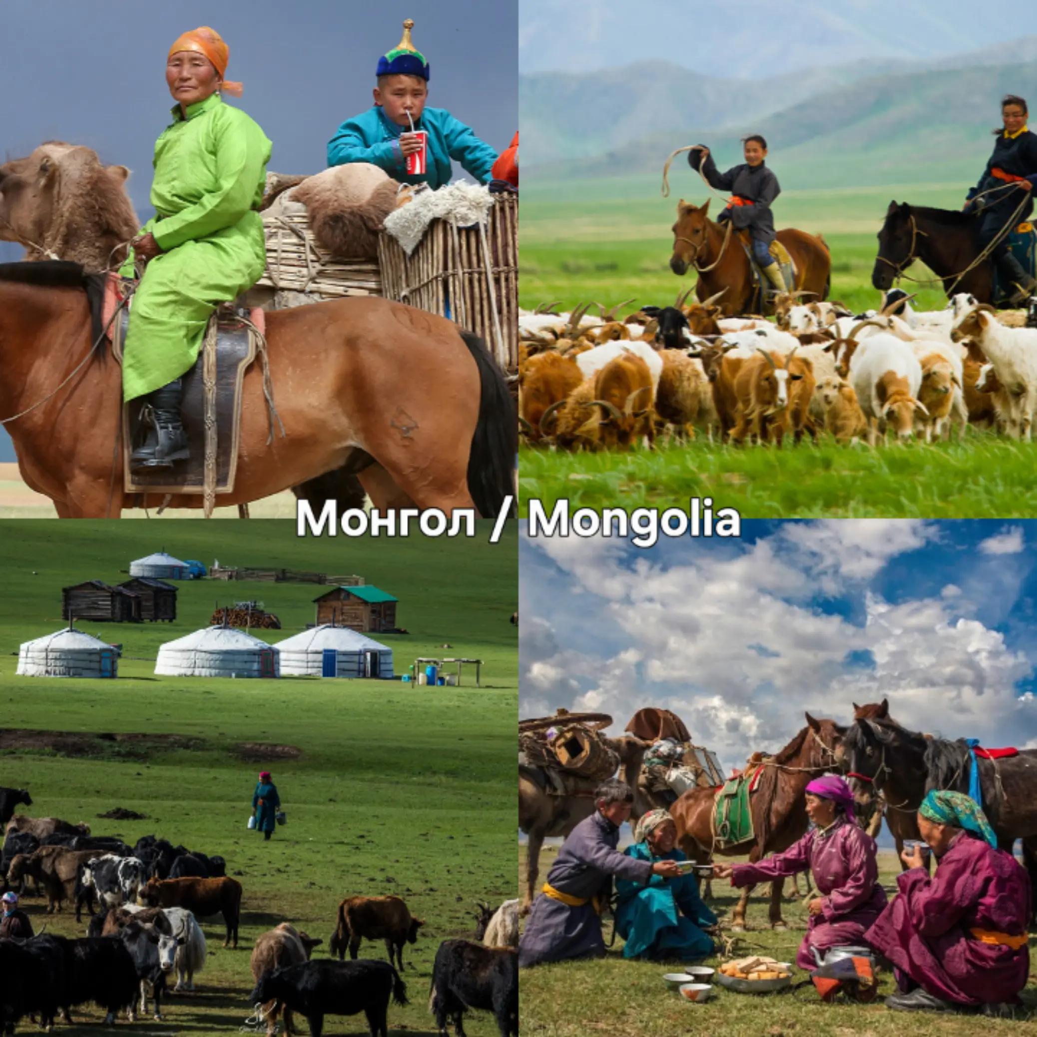 @Narmai-mongolism