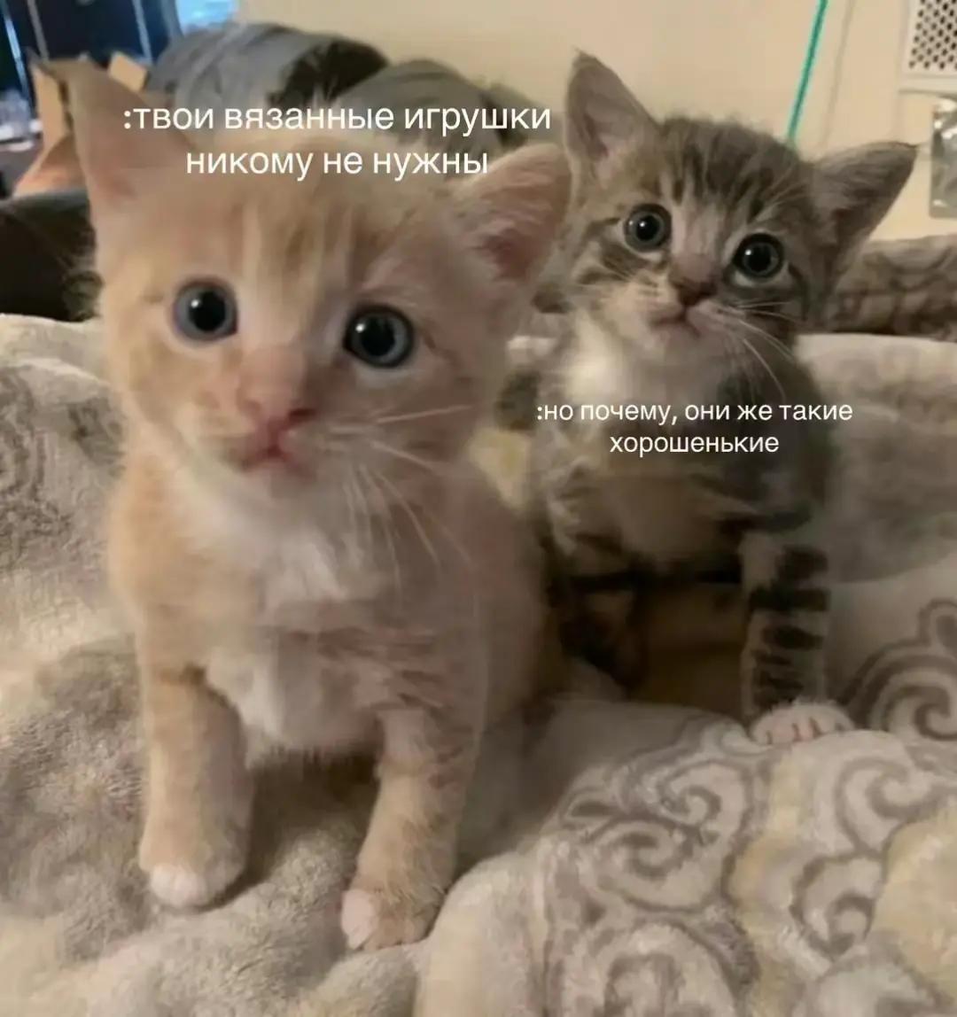 @Пещера сокровищ