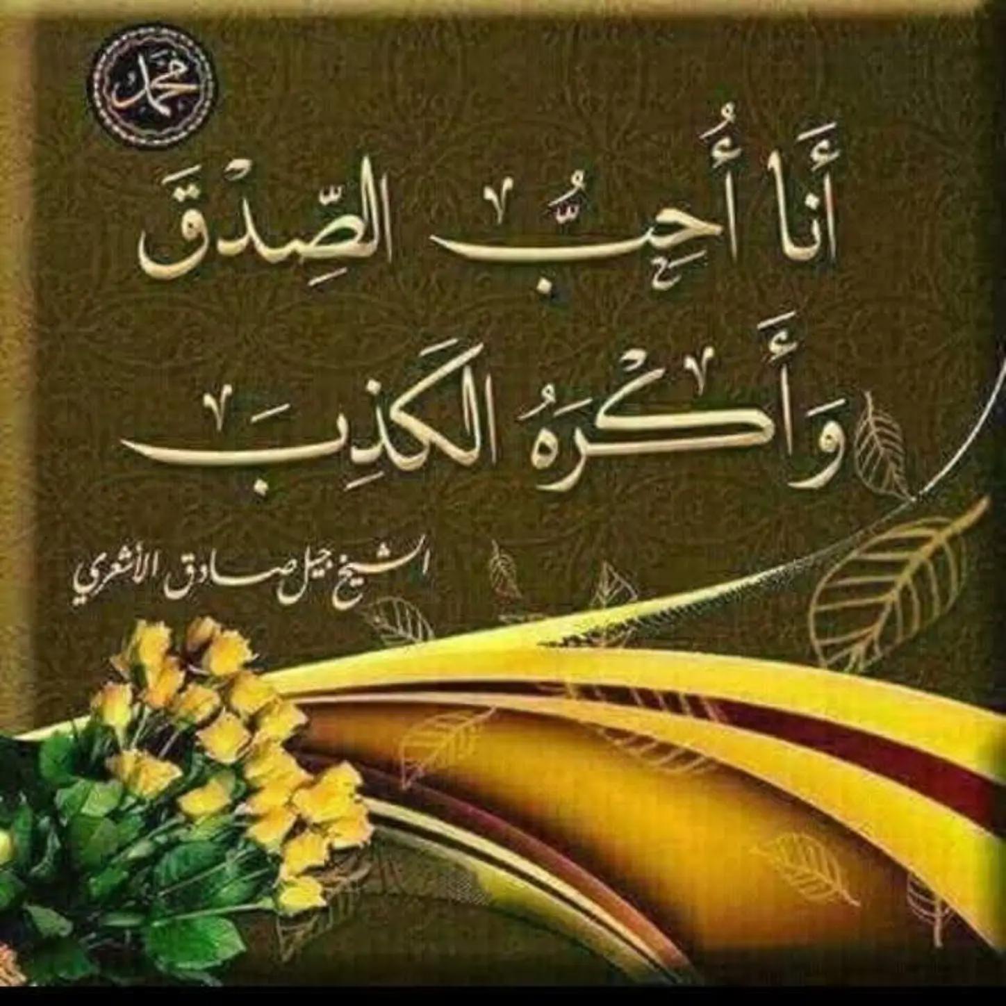 @qalbidhaya309