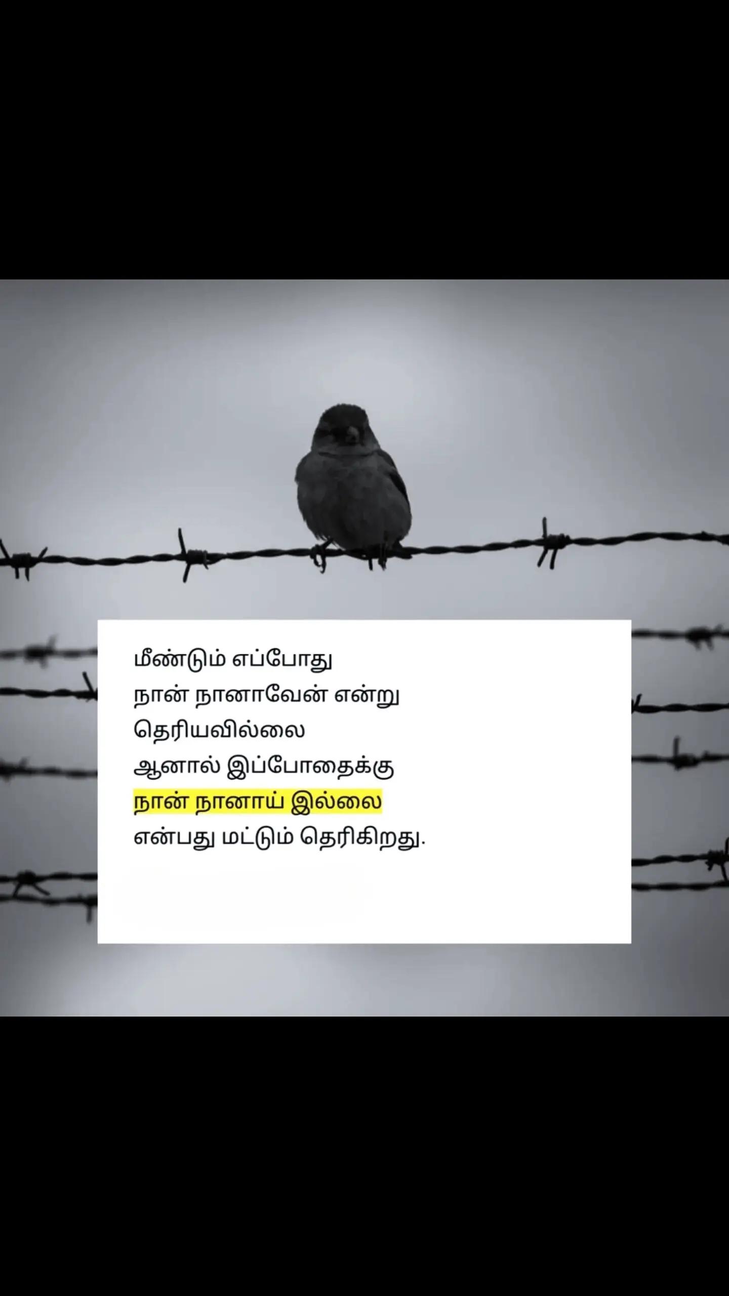 @Meera