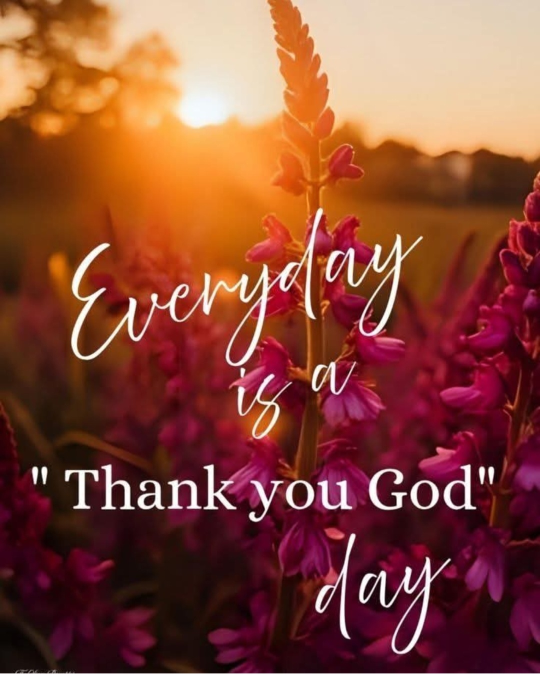 @Geechie_gurl 63🌹