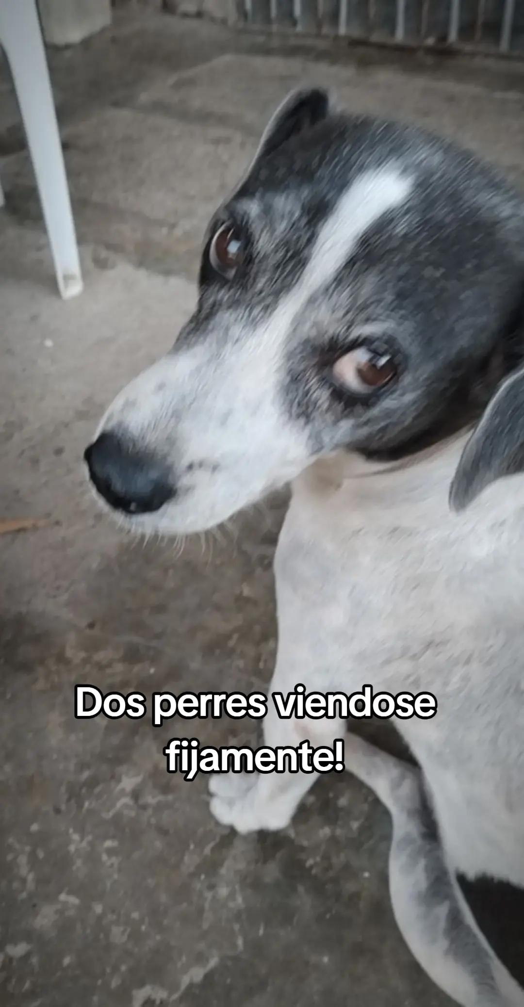 @MANCHAS 0714 OFICIAL