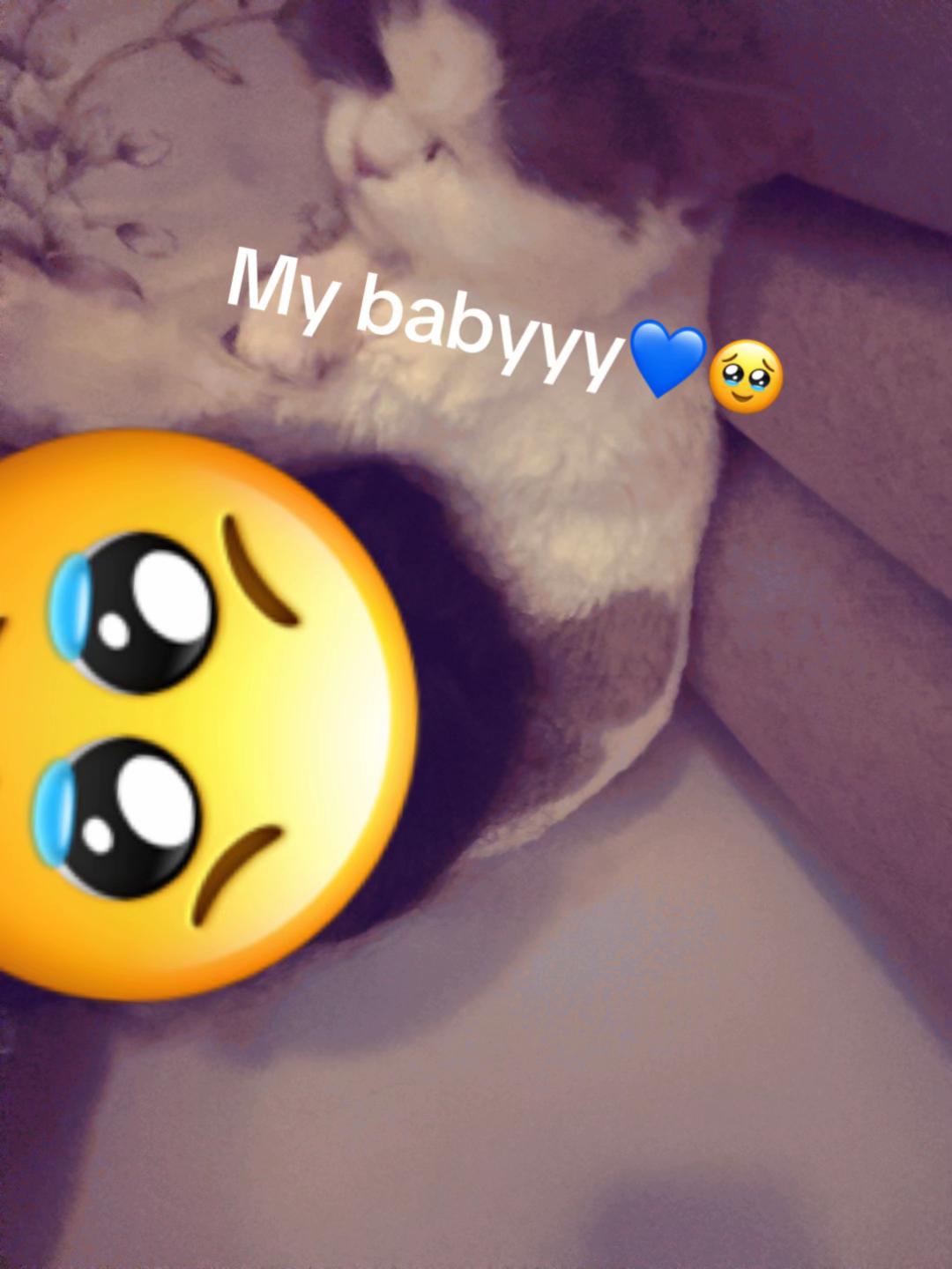 @ℒ𝓊𝓃𝒶𝓇♍︎