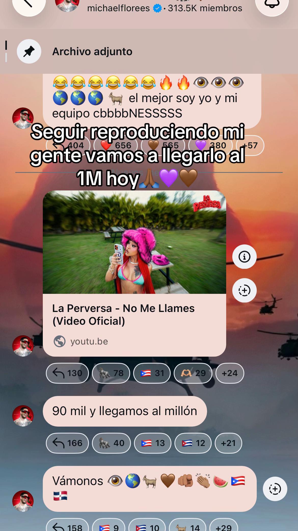@Lic.anasolano y las Reales💜🦍