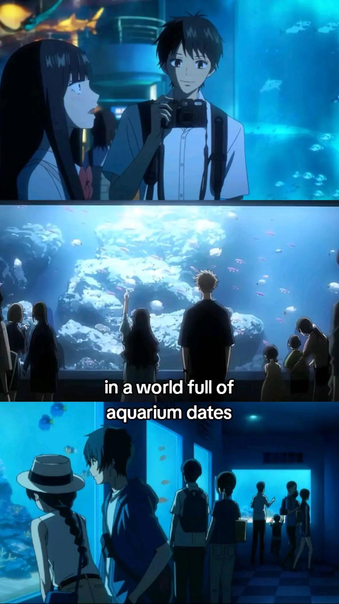 @YAZUKI