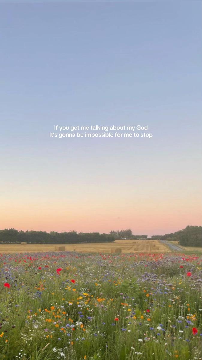@🦋