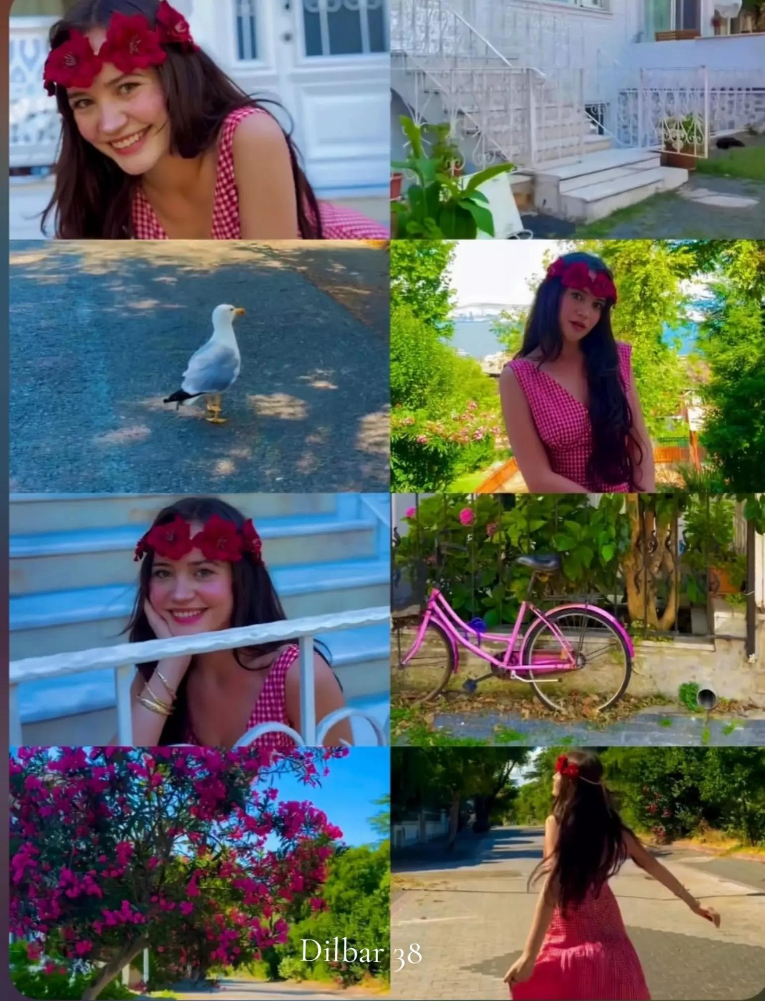 @๐ฃ๐ x ๐๐ฒ๐ต๐ซ๐ช๐ป ³โธ๐น๐ท