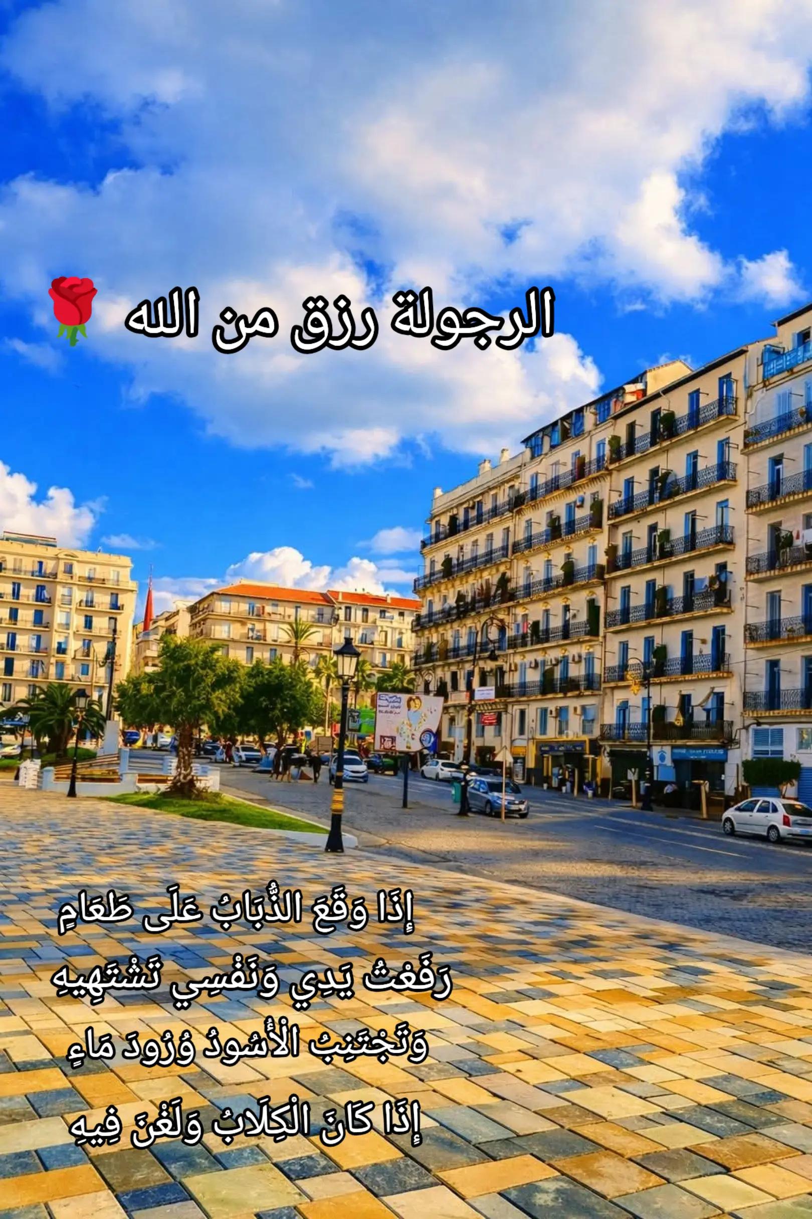 @🌹 خَلَفْ لِخَيْرِ سلَفْ 🌸📚