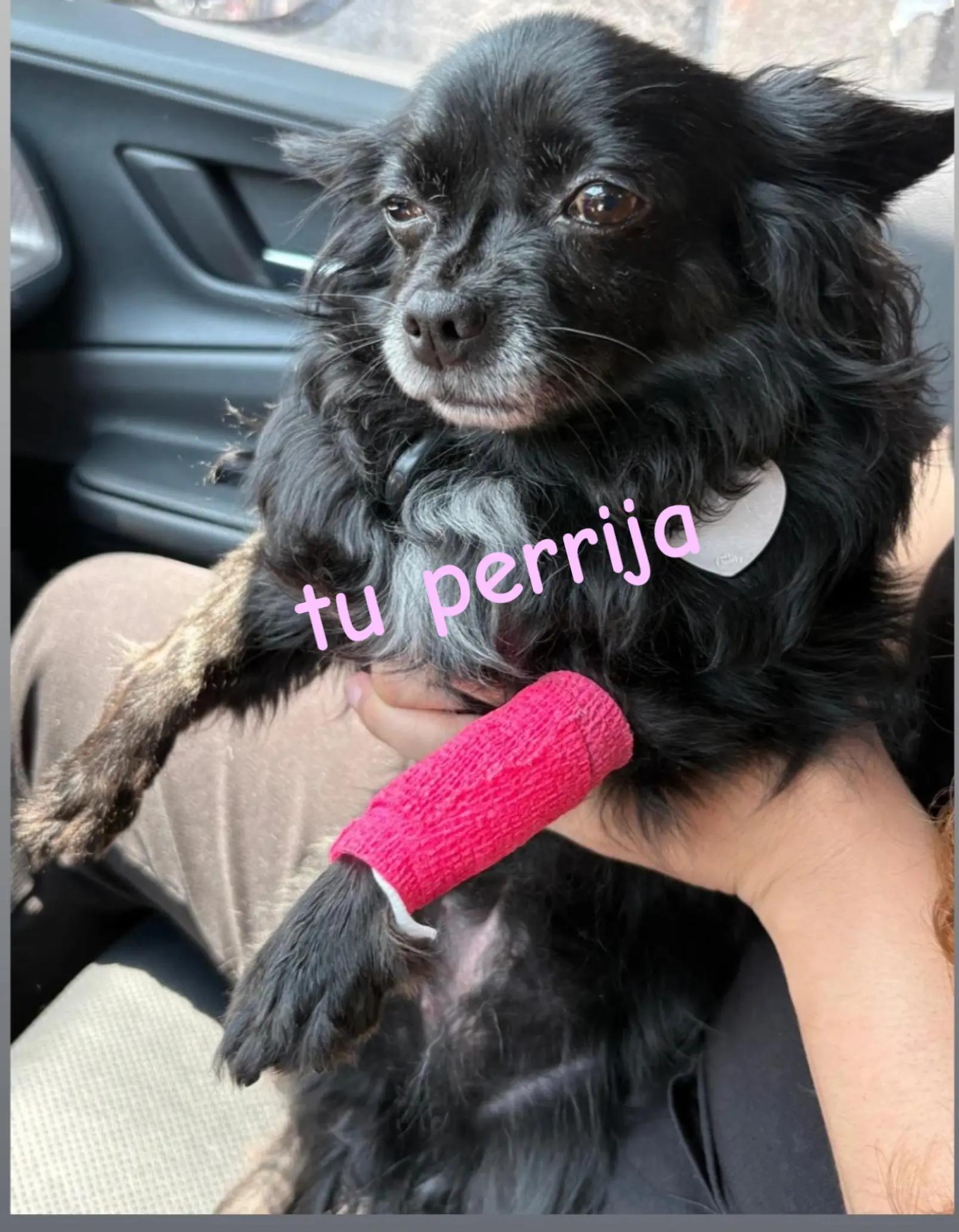 @Brenda B.