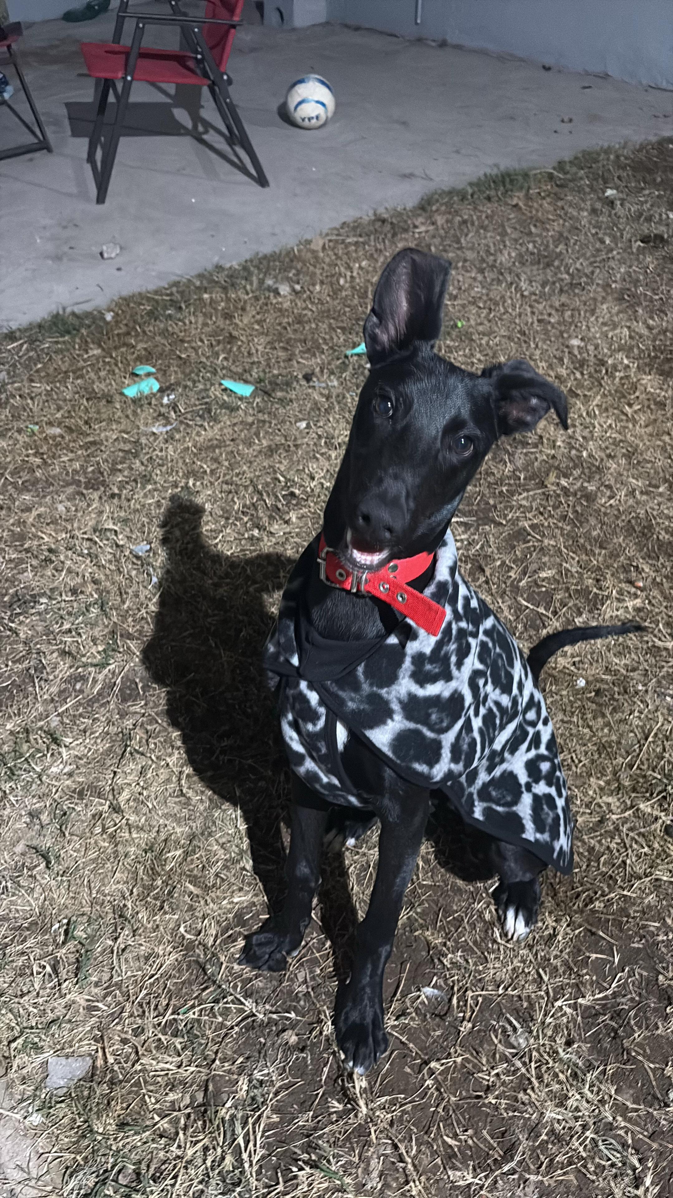 @Brichuzoe