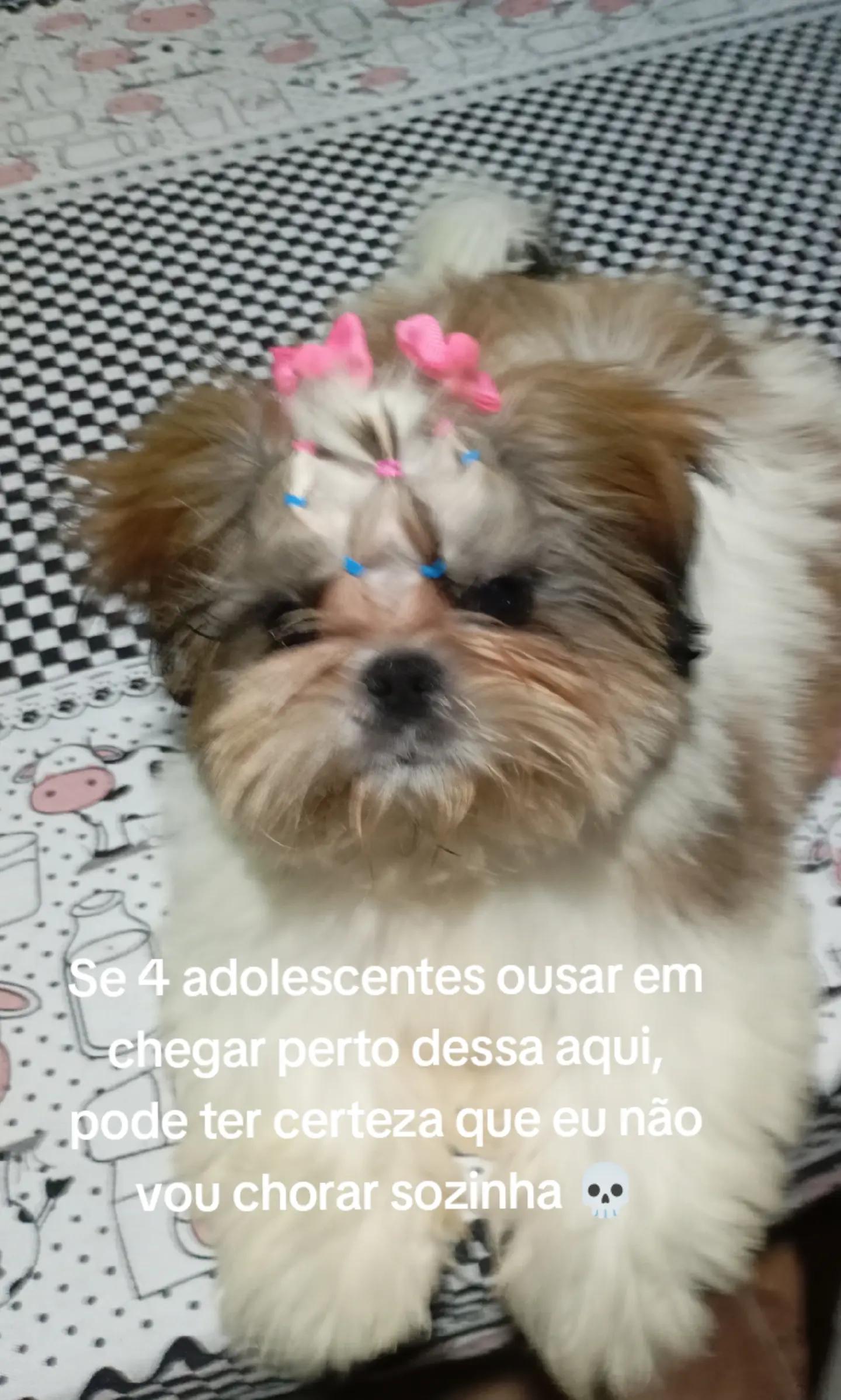@Princesa